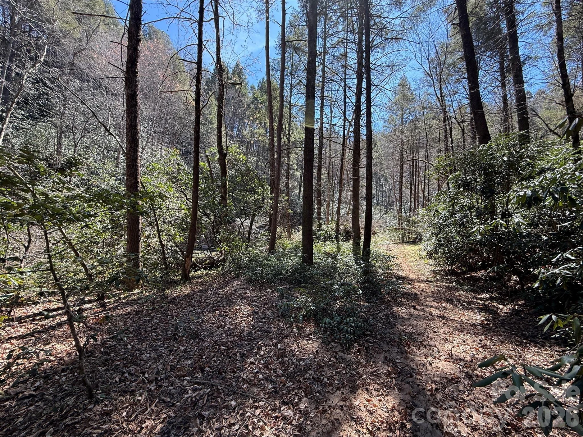 000 Kings Glen Road - Photo 43
