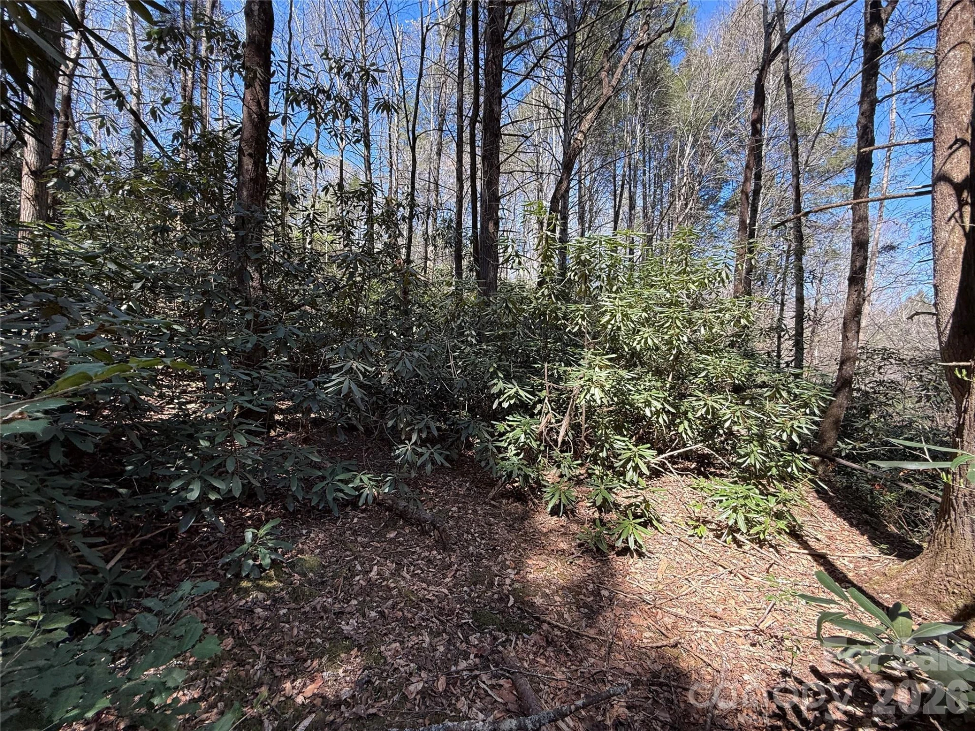 000 Kings Glen Road - Photo 44