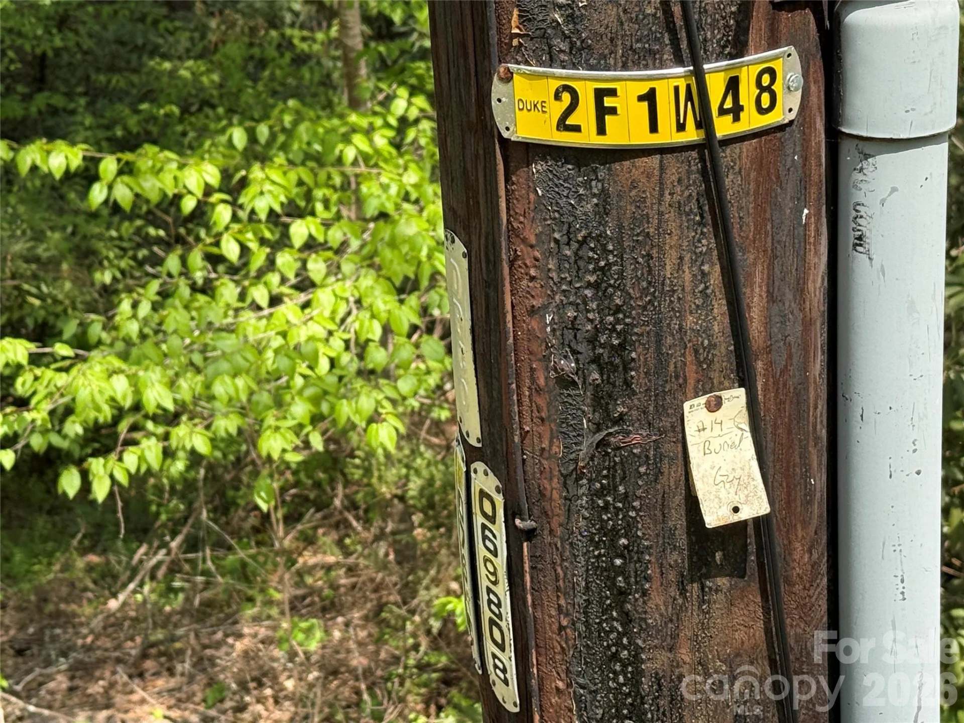 000 Kings Glen Road - Photo 46