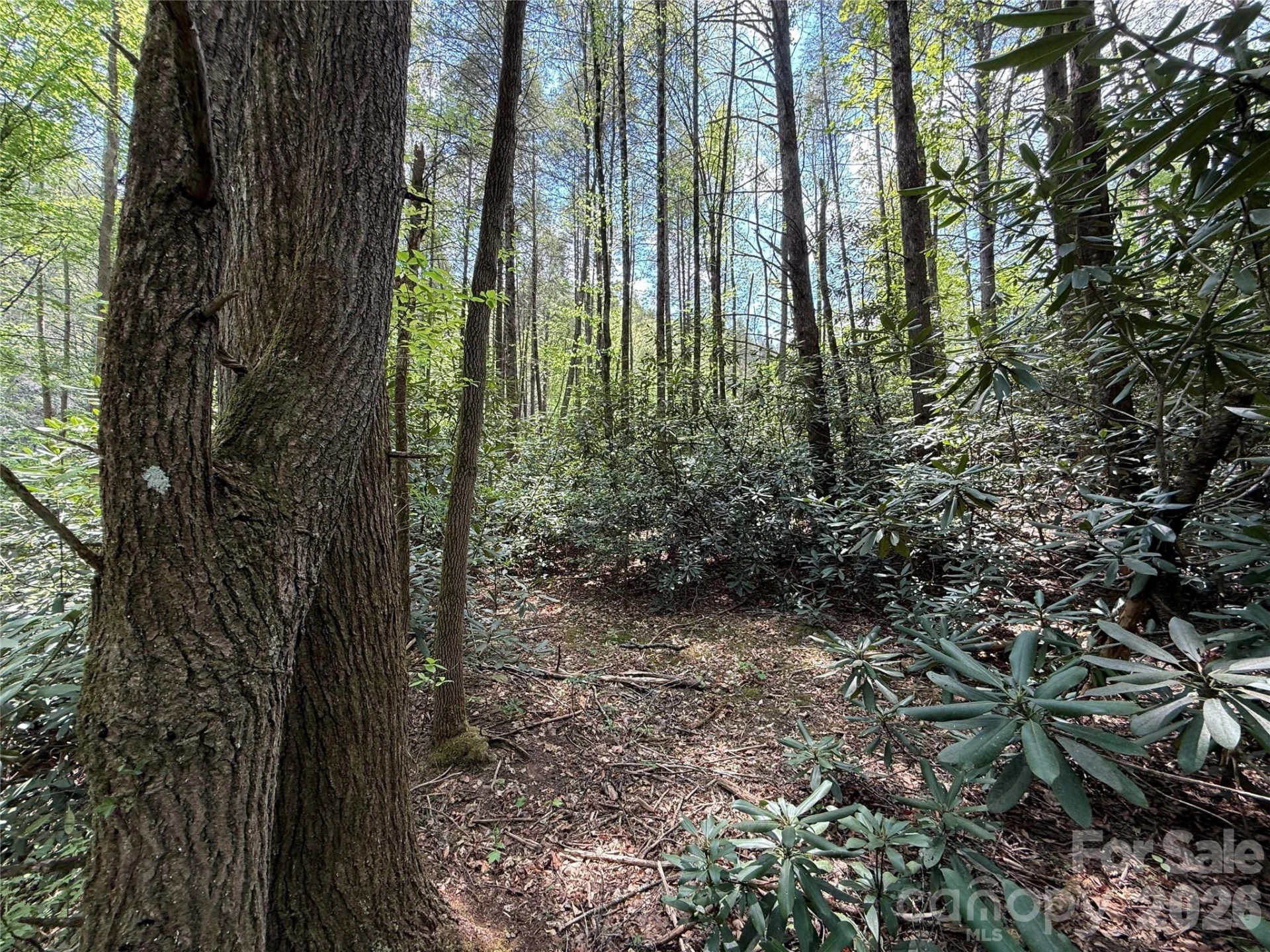 000 Kings Glen Road - Photo 8