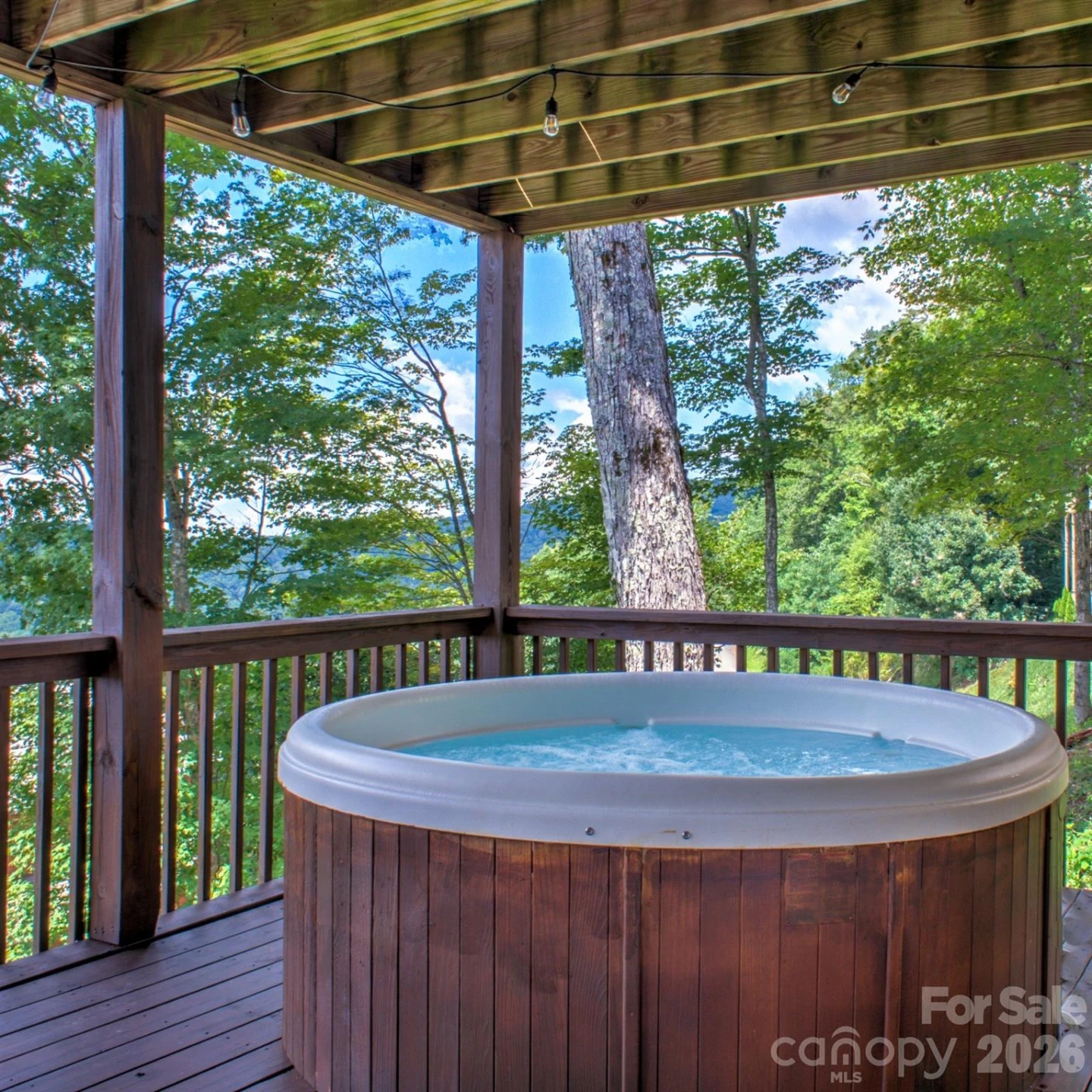 181 Scenic Wolf Drive - Photo 37