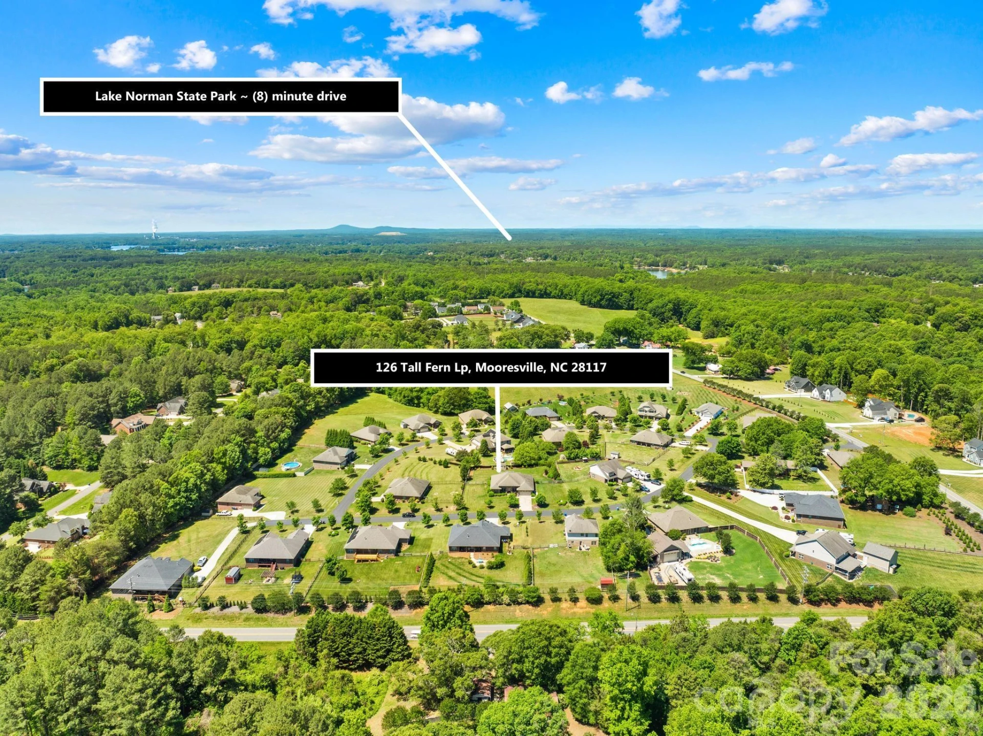 126 Tall Fern Loop - Photo 38