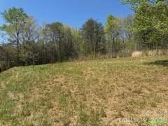 1267 Jacktown Road - Photo 5