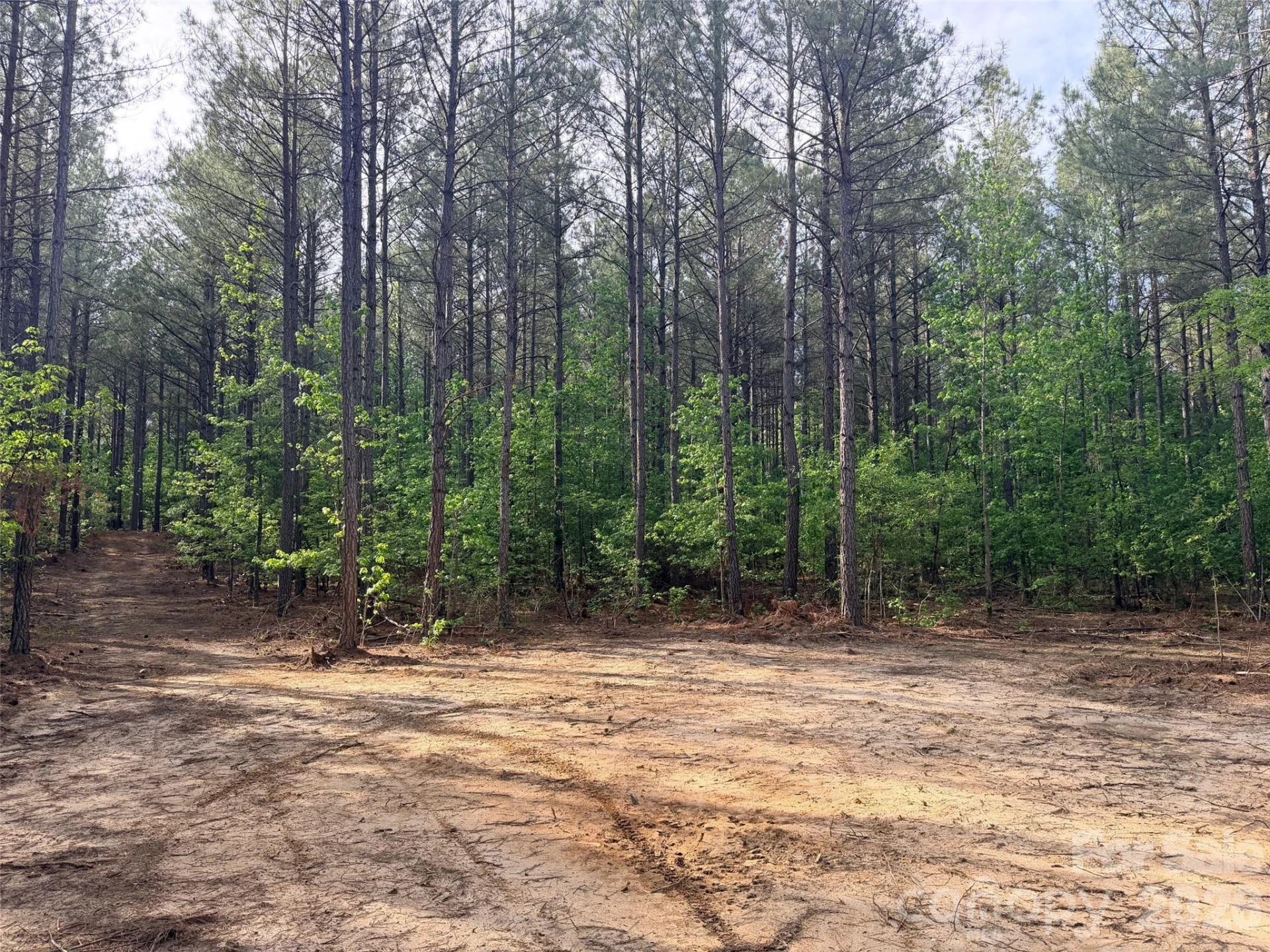 0 Morrow Motor Road - Photo 14