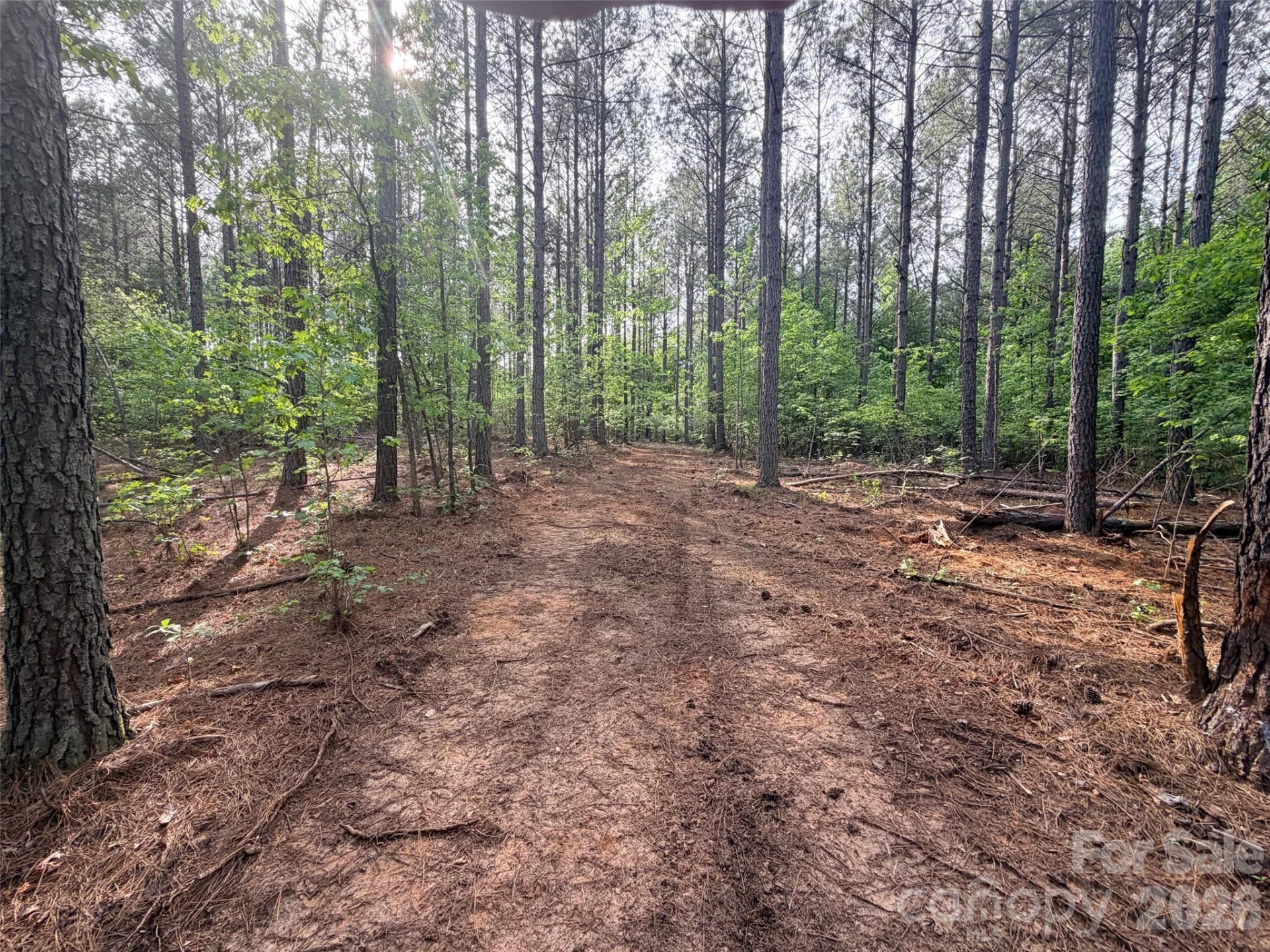 0 Morrow Motor Road - Photo 16