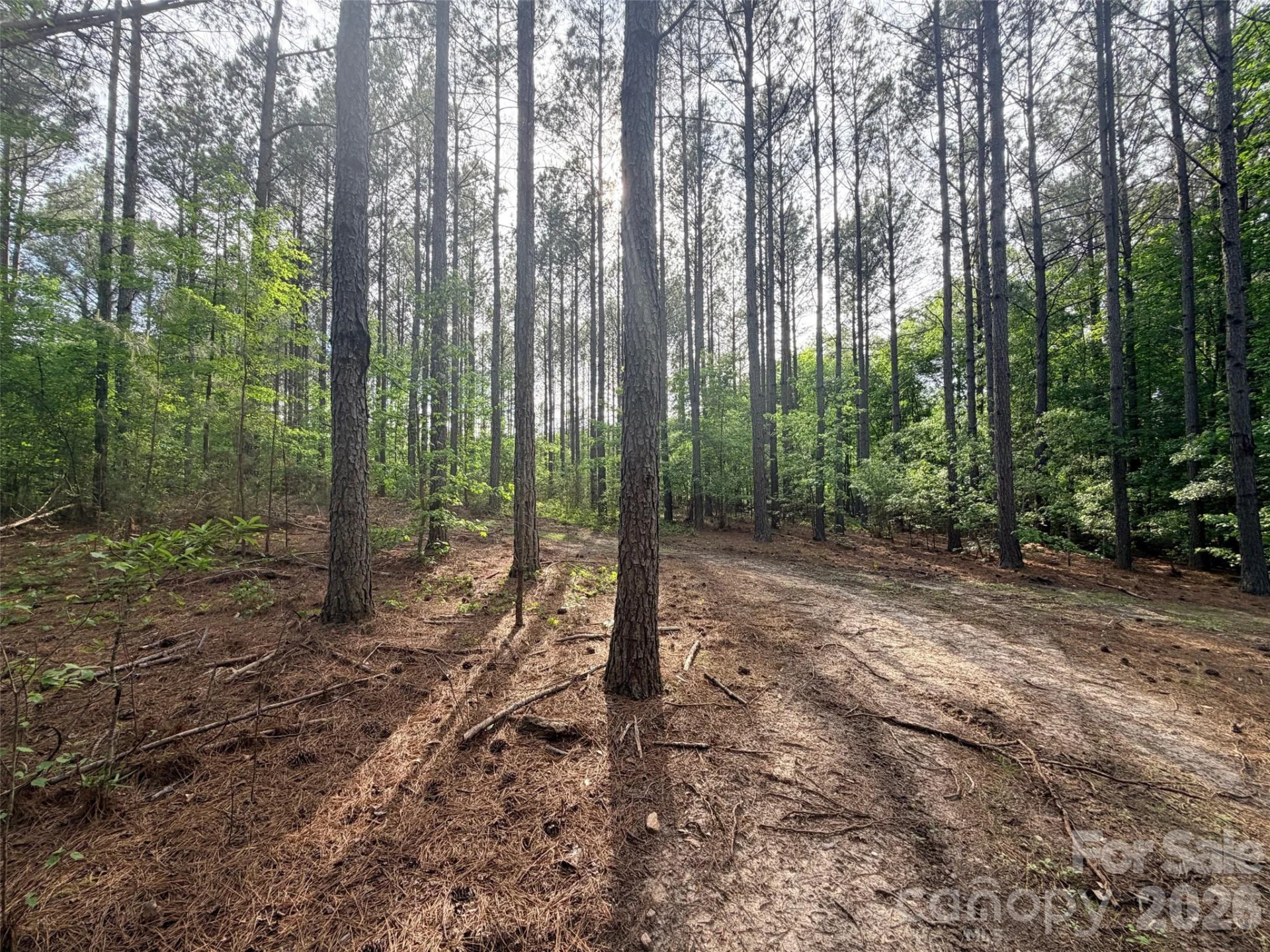 0 Morrow Motor Road - Photo 17