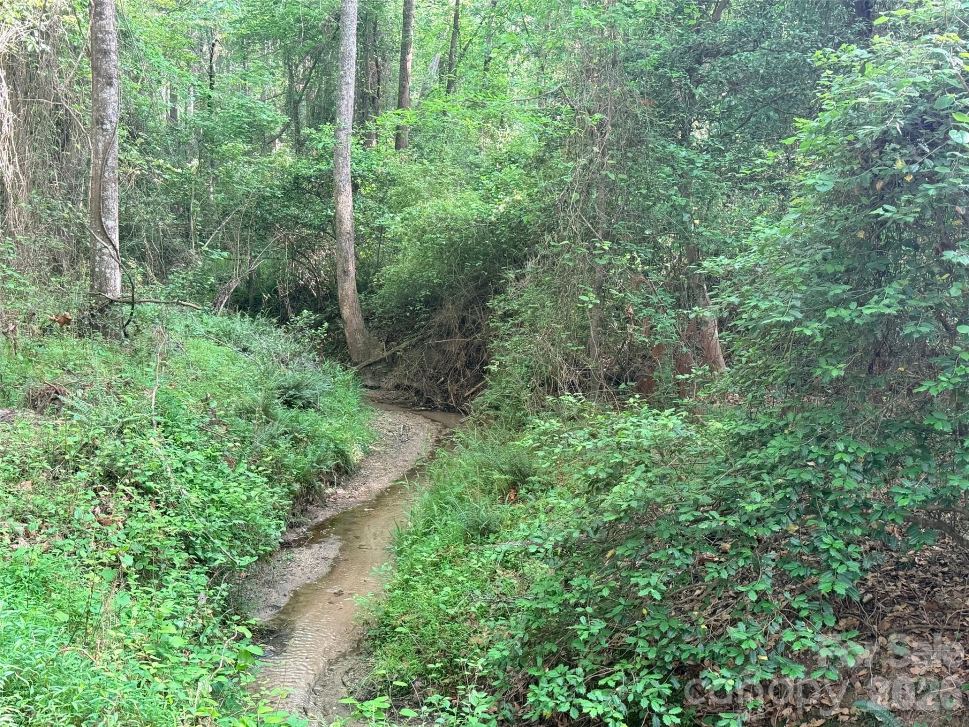 0 Morrow Motor Road - Photo 3