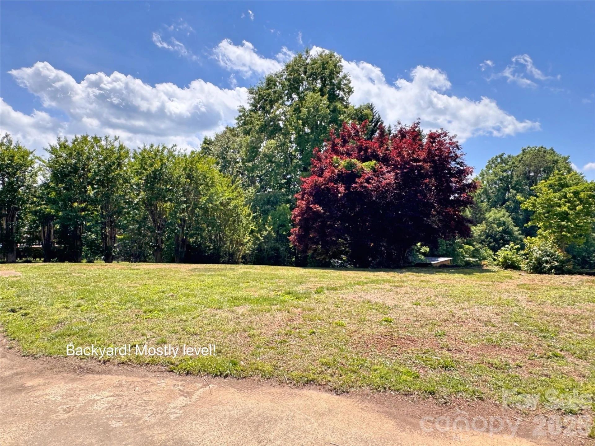 121 Icard Street - Photo 7