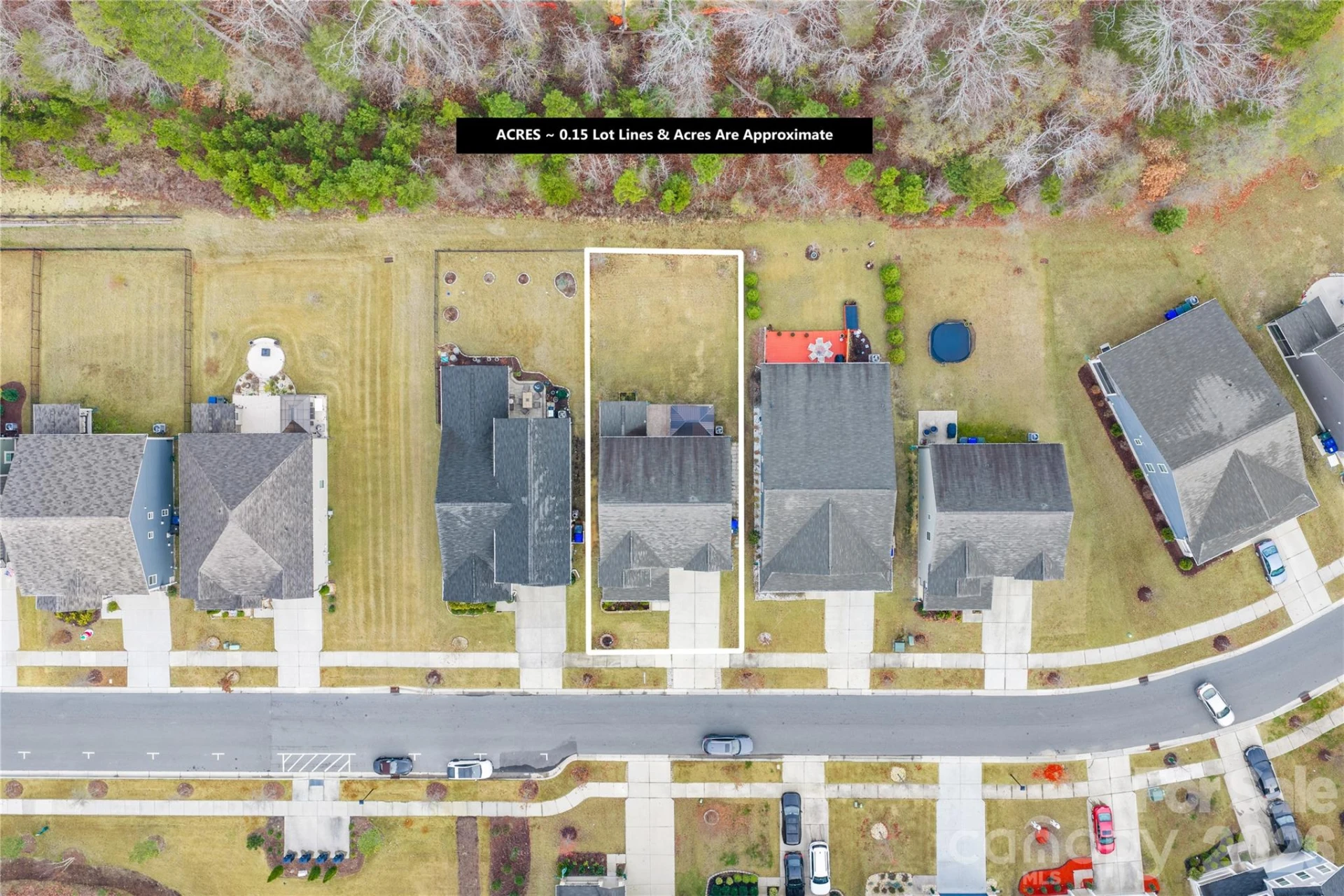 14107 Magnolia Walk Drive - Photo 3