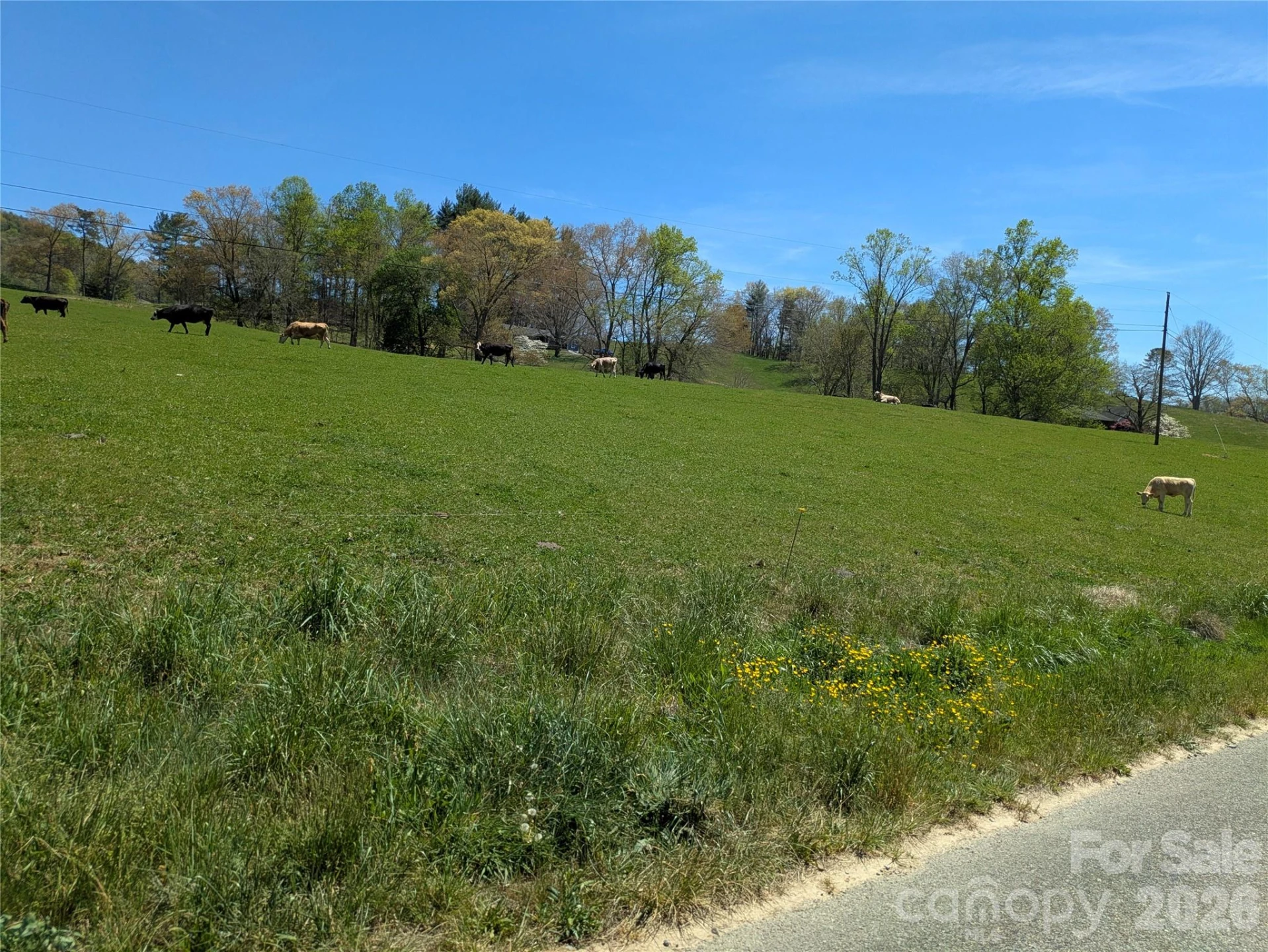 TBD Glance Cove Road