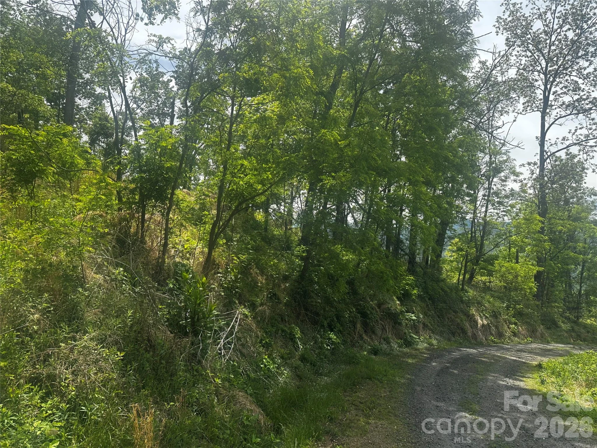 00 John Sparks Road - Photo 4