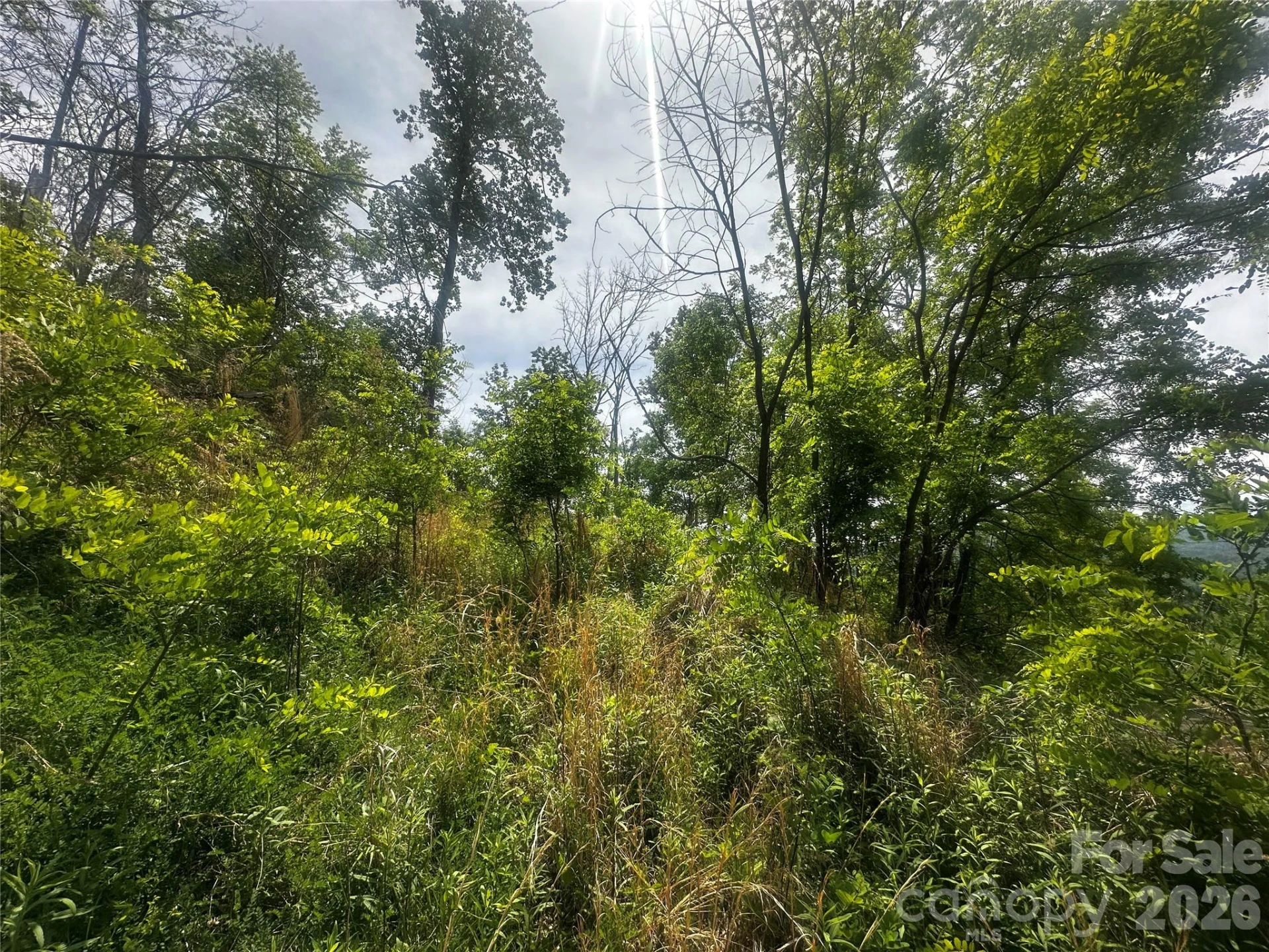 00 John Sparks Road - Photo 10