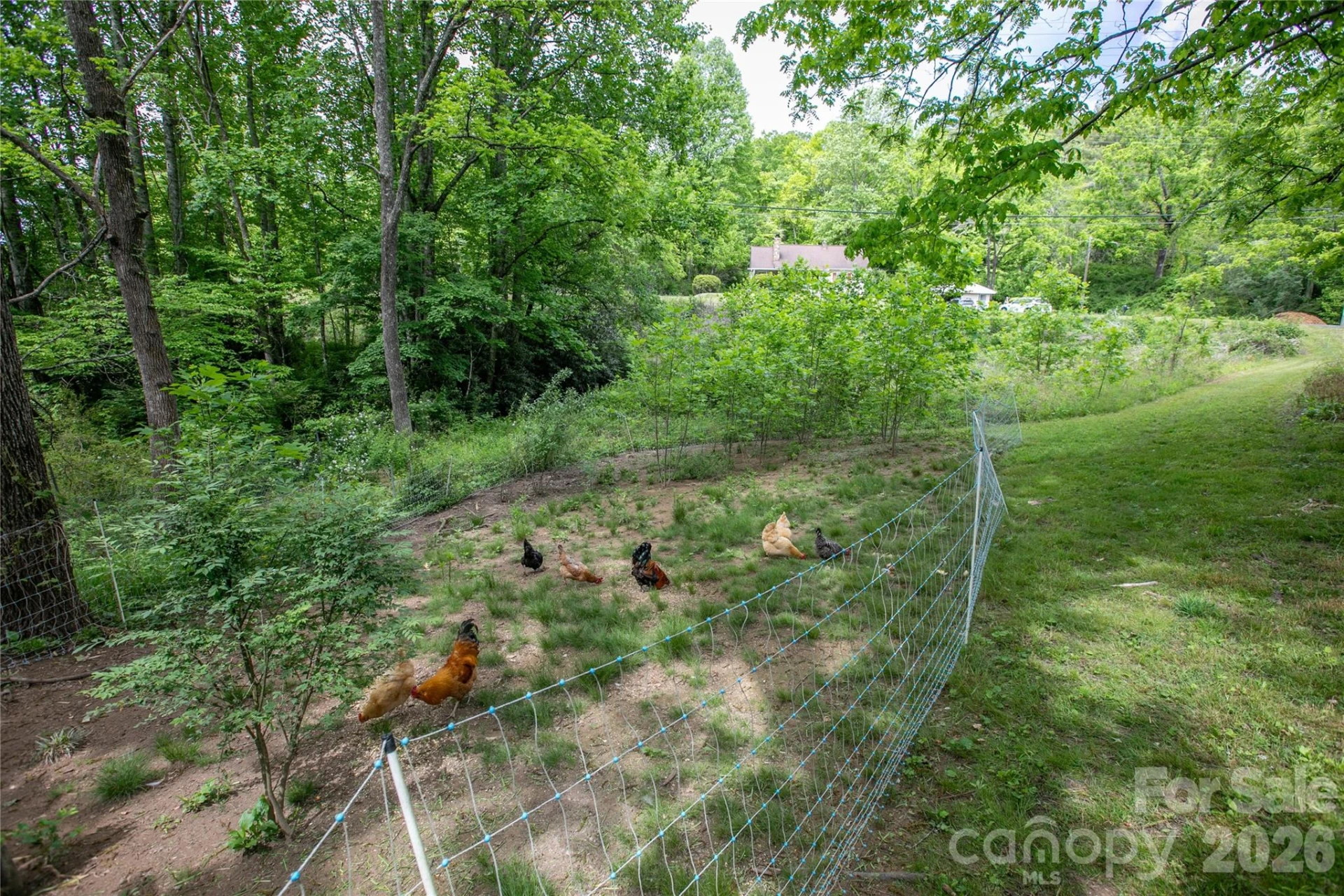470 Cherryfield Loop - Photo 29