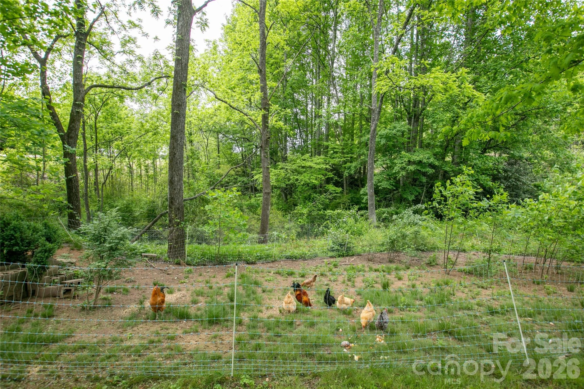 470 Cherryfield Loop - Photo 31