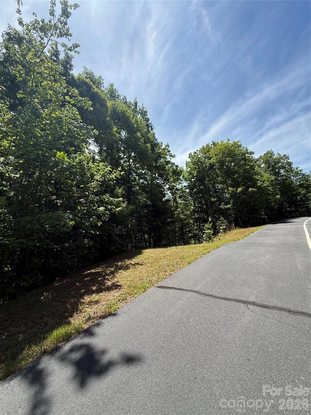 85 Adirondack Lane #85 - Photo 12
