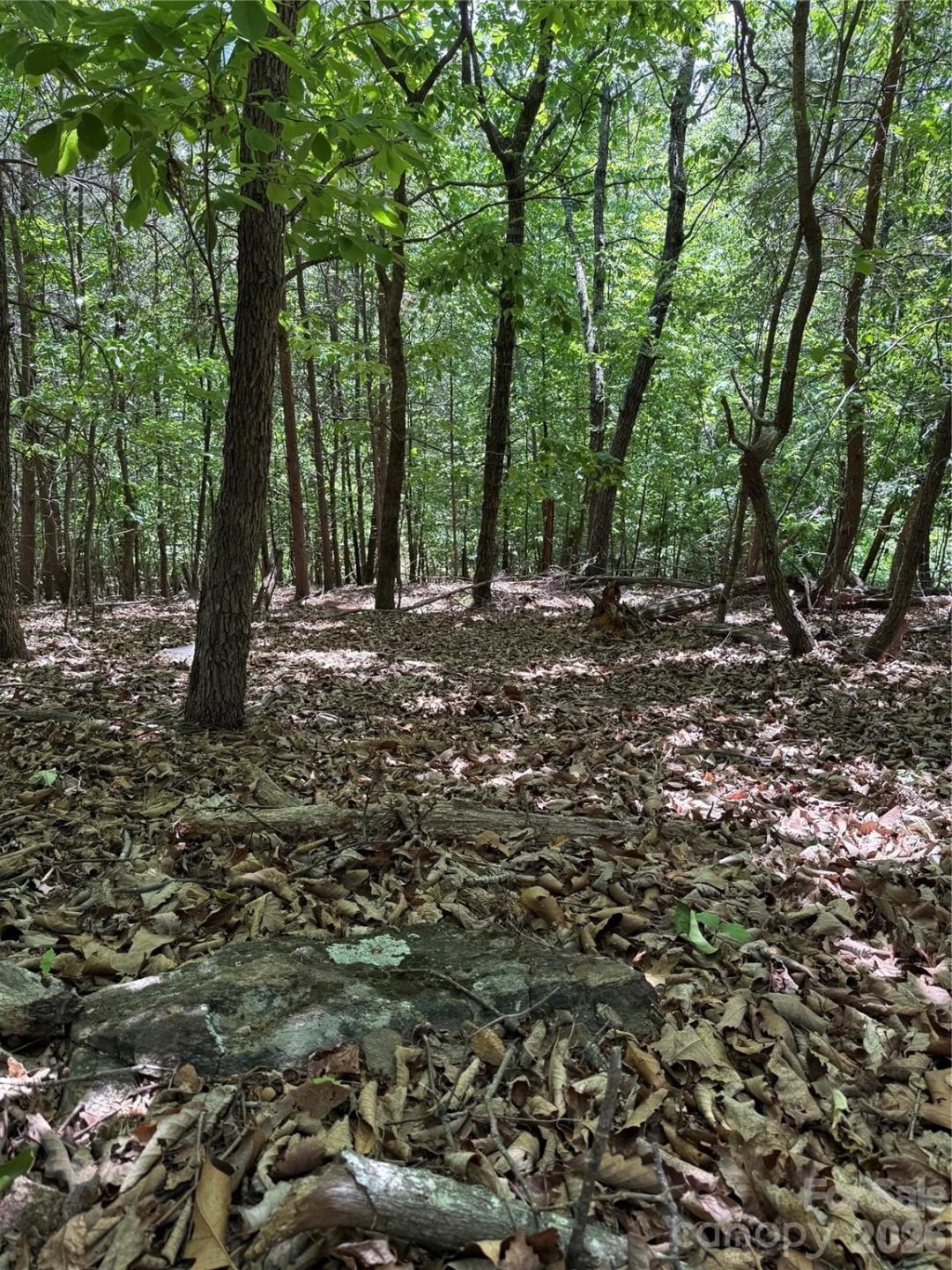 85 Adirondack Lane #85 - Photo 13