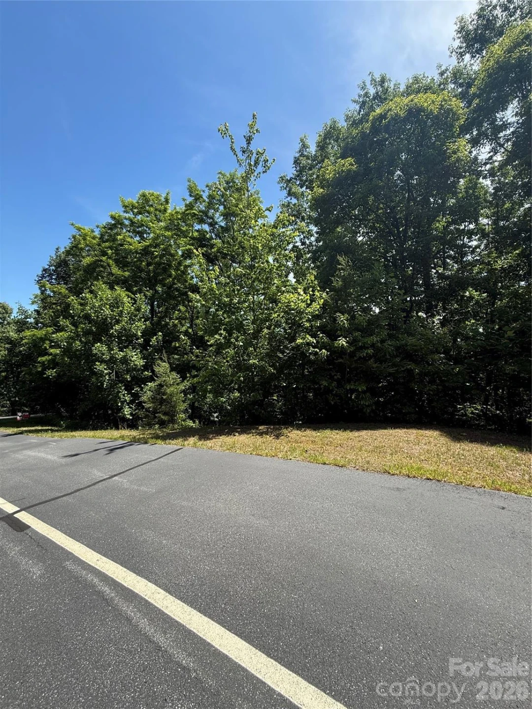 85 Adirondack Lane #85 - Photo 14