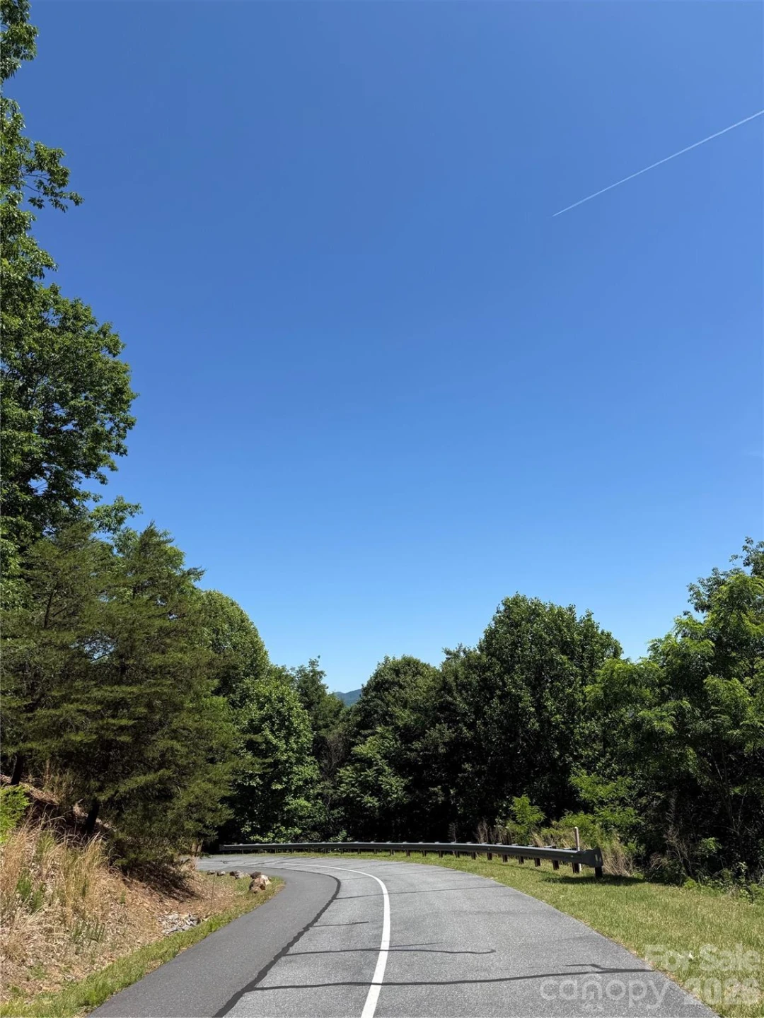 85 Adirondack Lane #85 - Photo 15