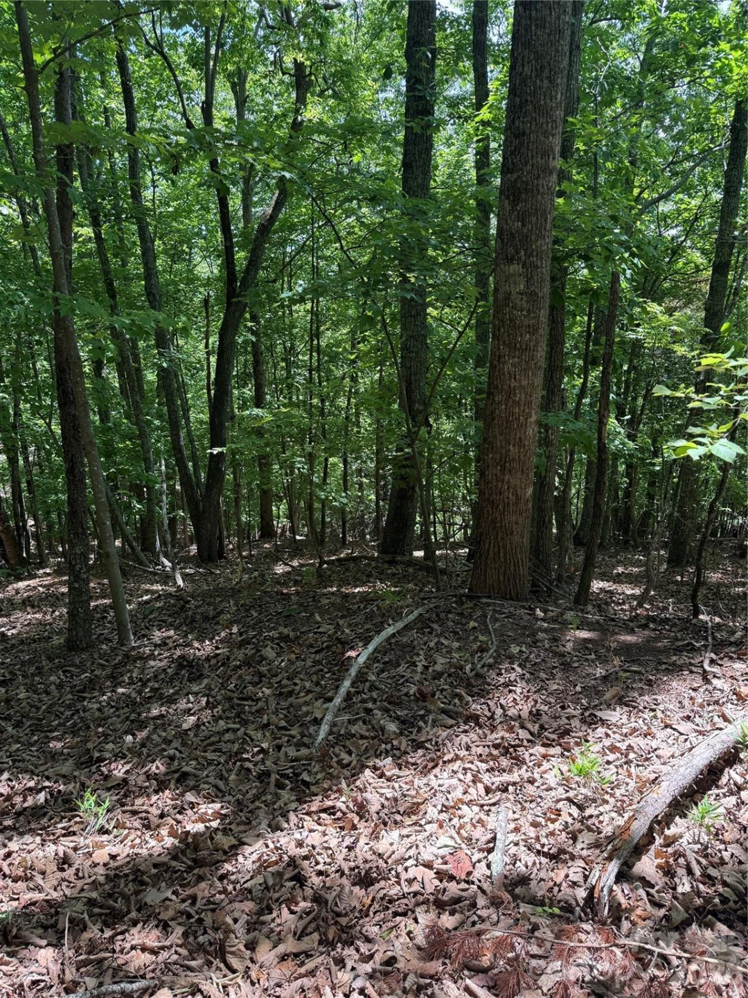 85 Adirondack Lane #85 - Photo 16
