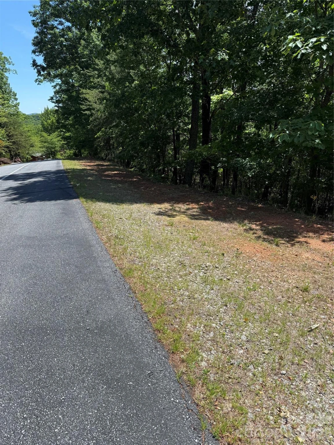 85 Adirondack Lane #85 - Photo 17