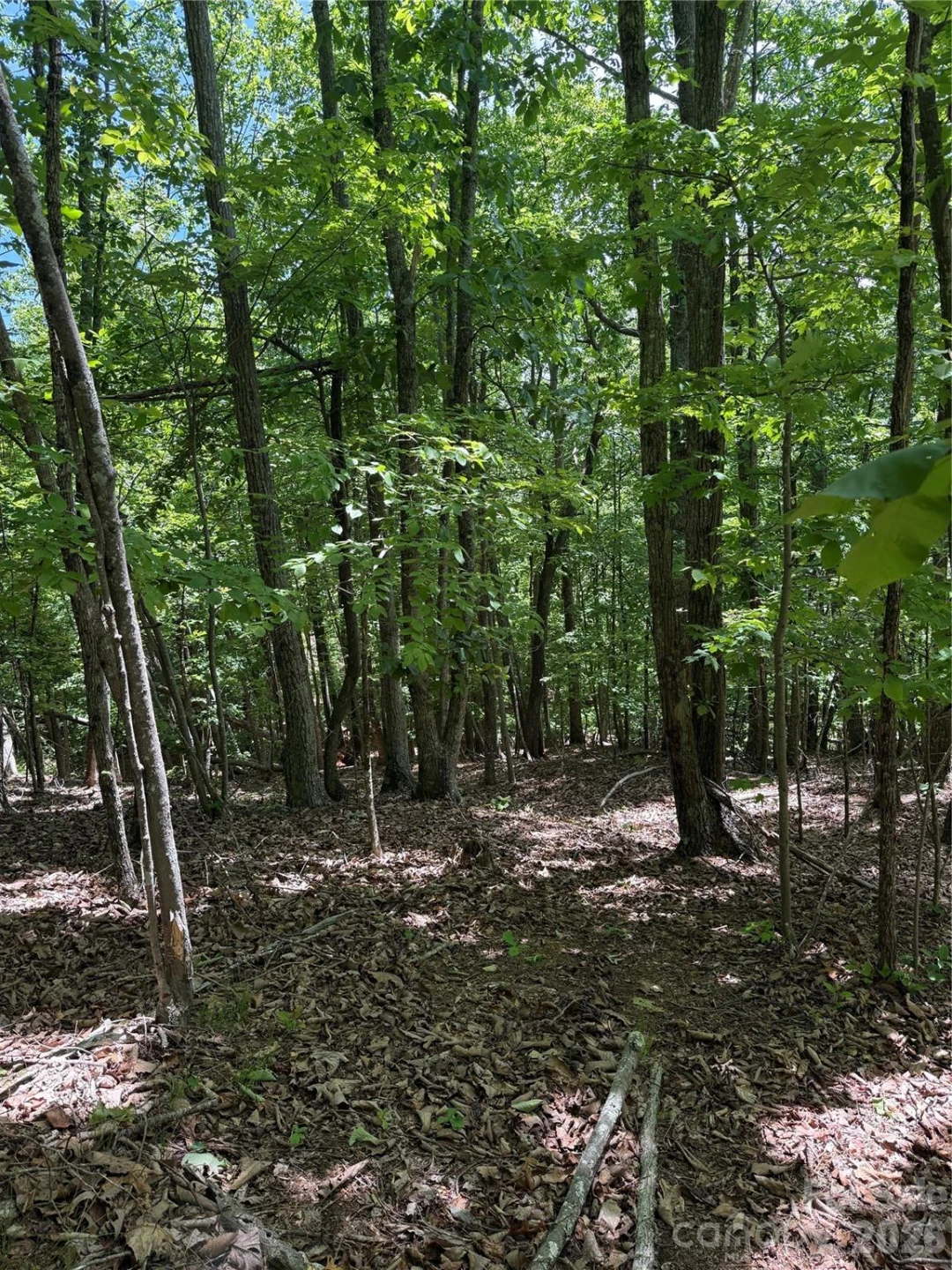 85 Adirondack Lane #85 - Photo 18