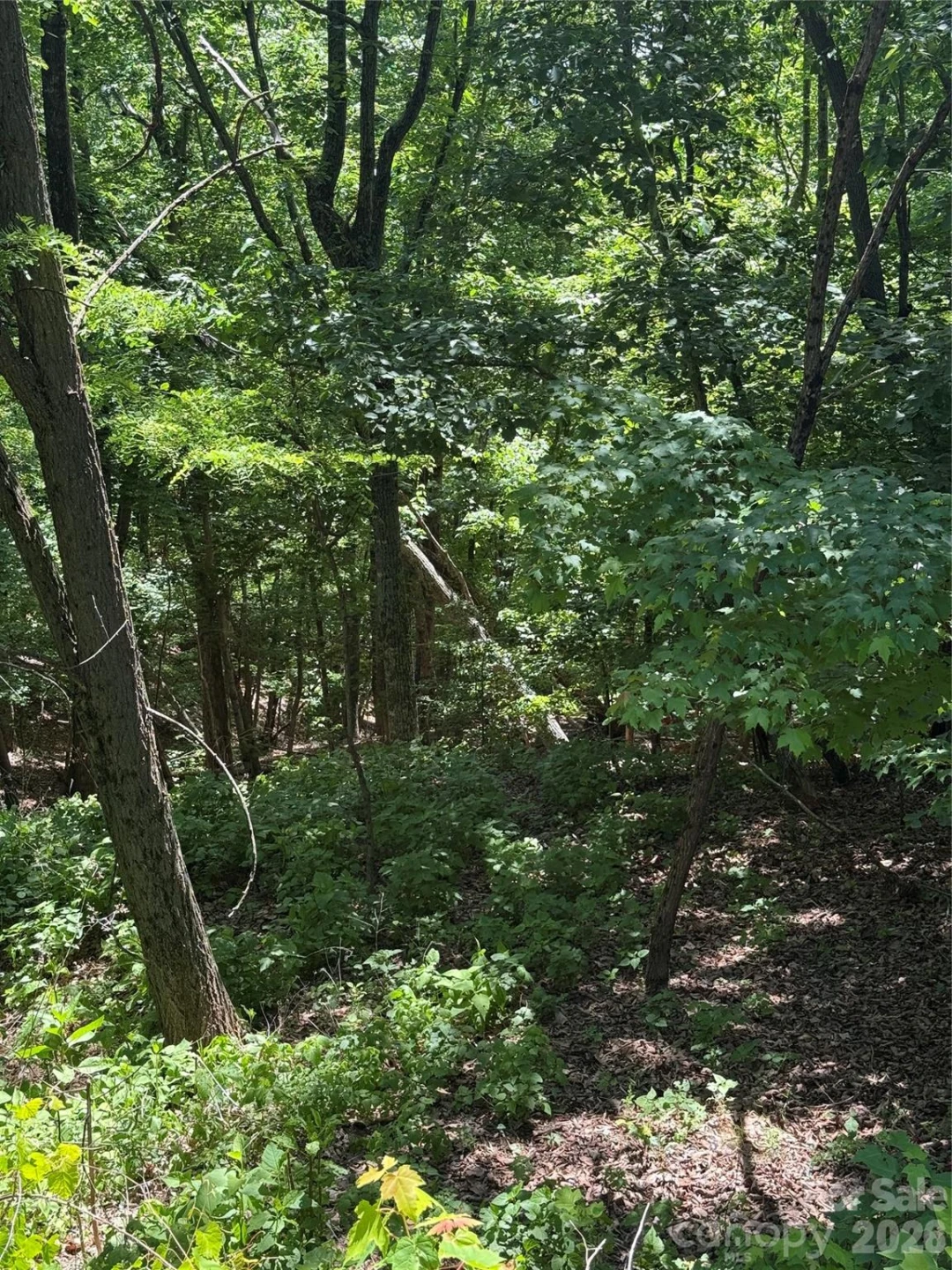 85 Adirondack Lane #85 - Photo 19