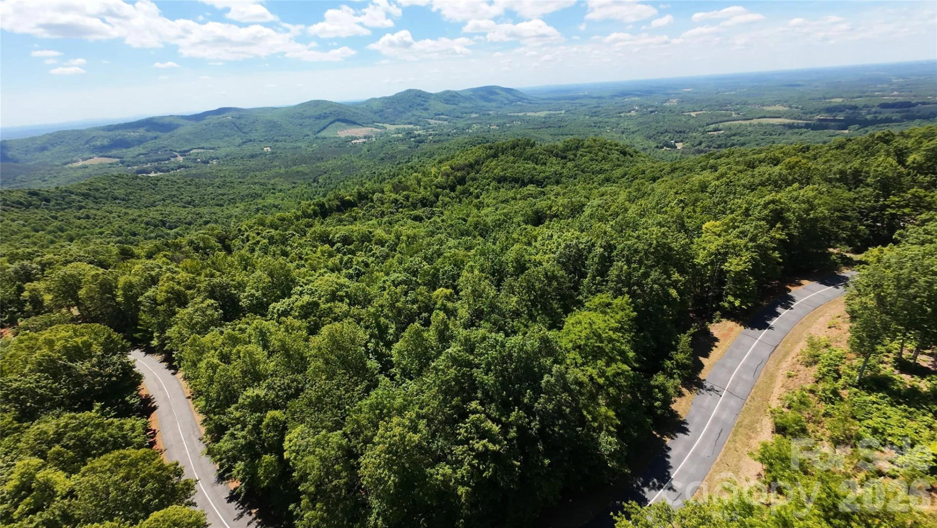 85 Adirondack Lane #85 - Photo 5