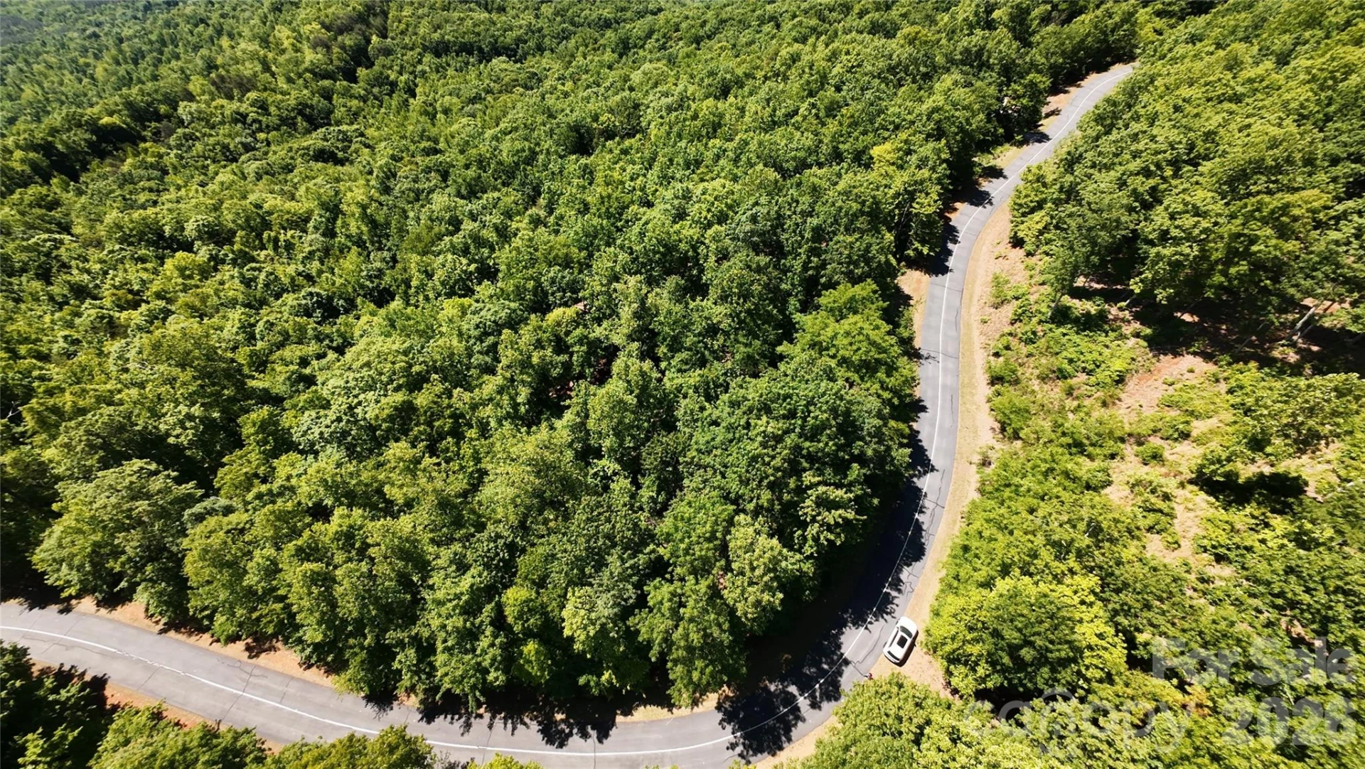 85 Adirondack Lane #85 - Photo 7