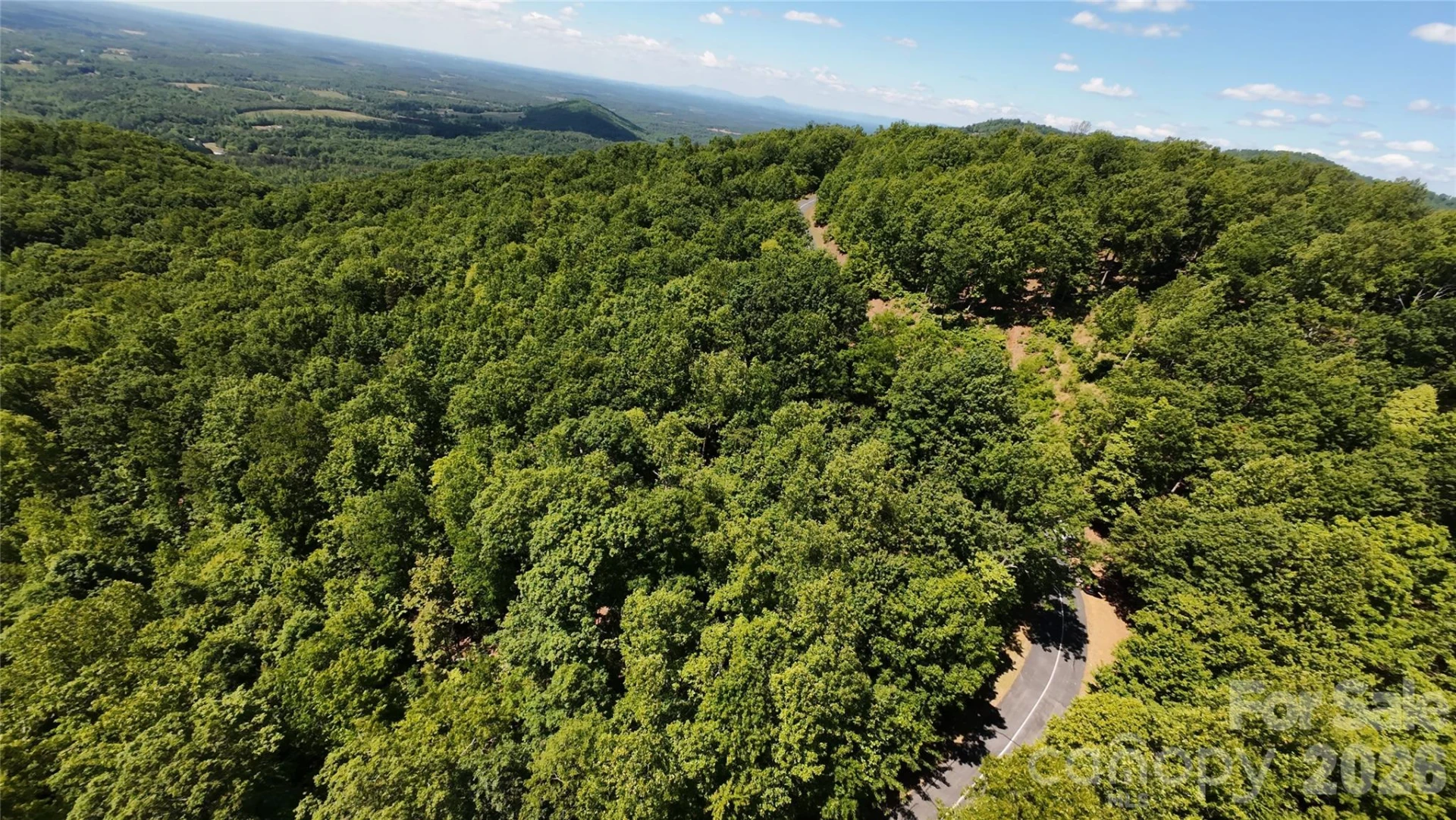 85 Adirondack Lane #85 - Photo 8