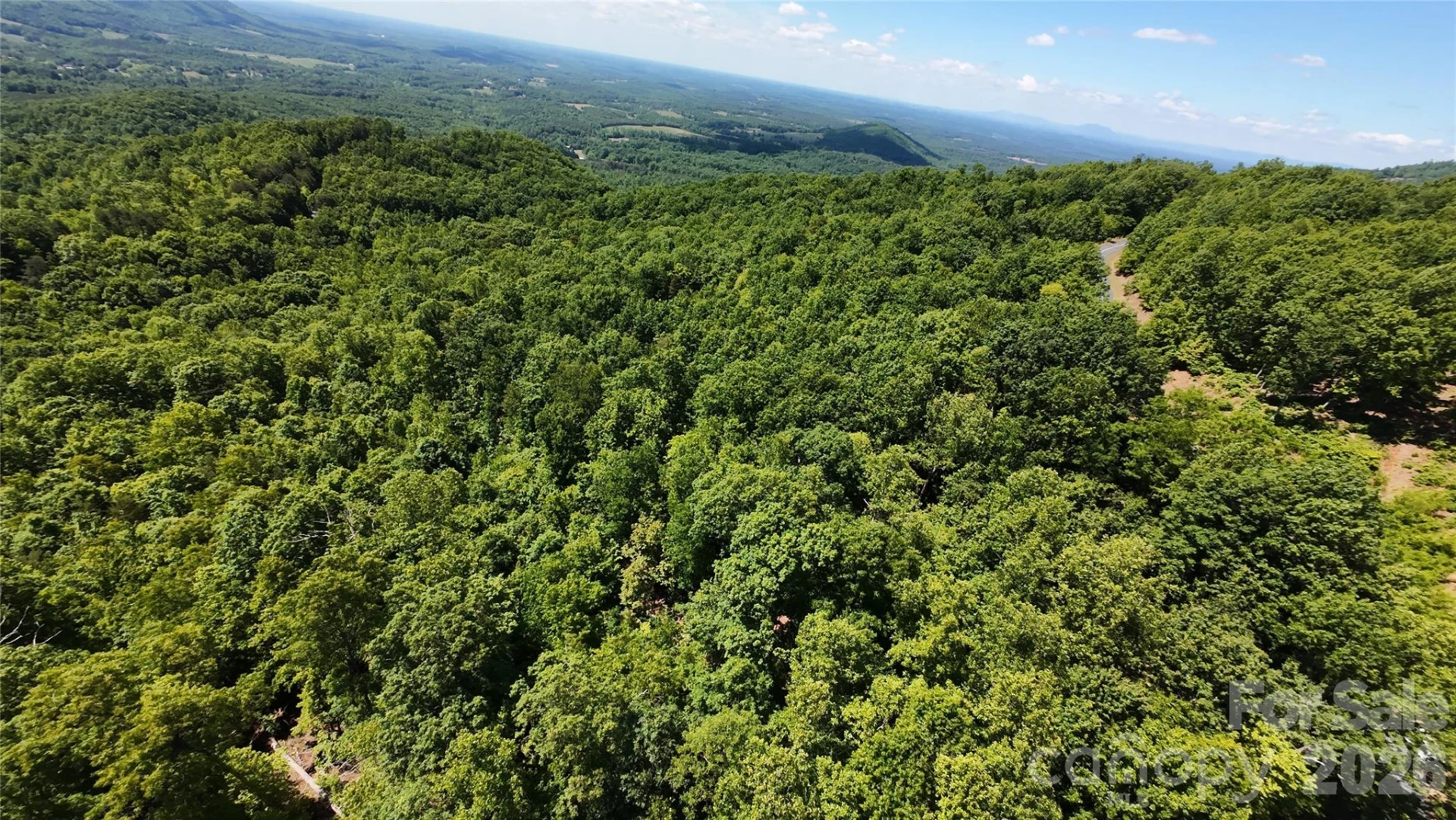 85 Adirondack Lane #85 - Photo 10