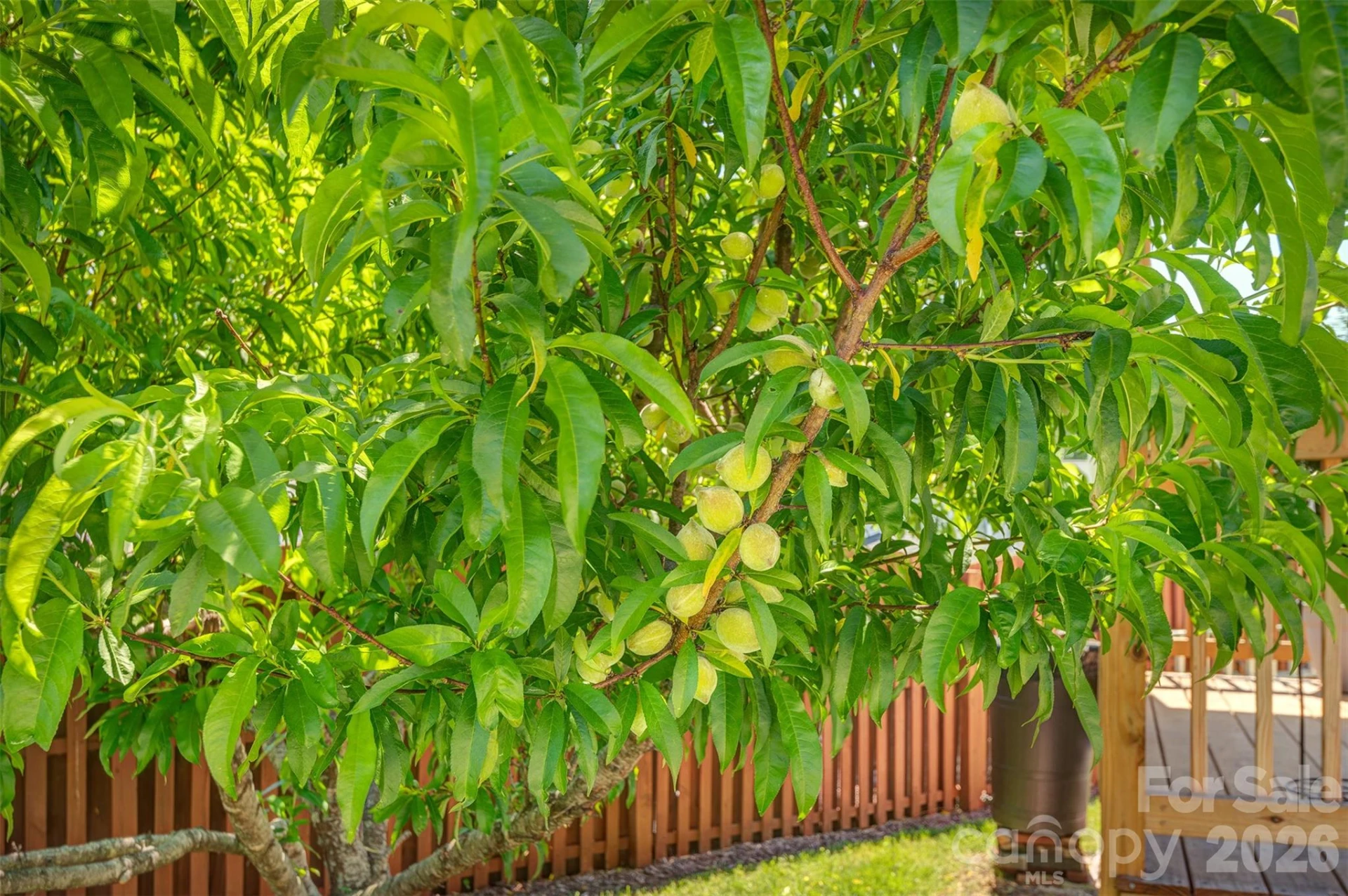 7 Breyerton Court - Photo 25