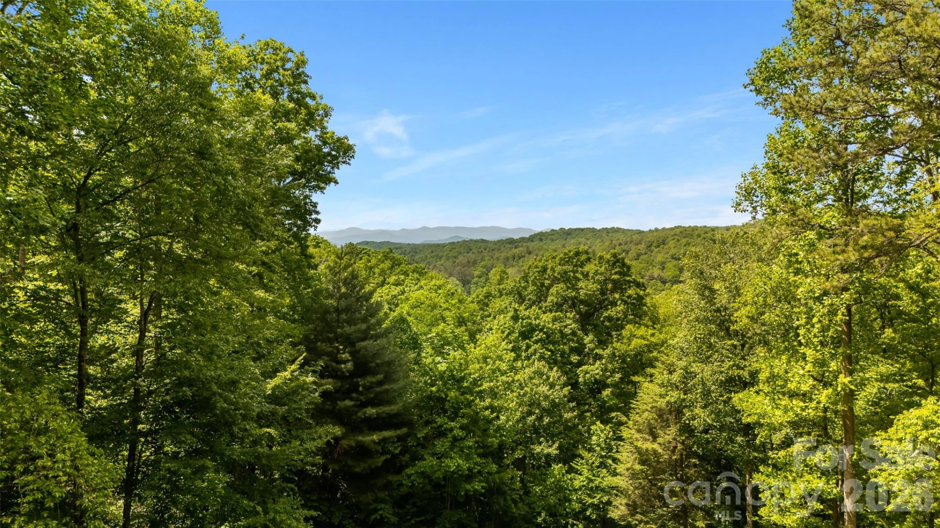 7660 Greenville Highway - Photo 44