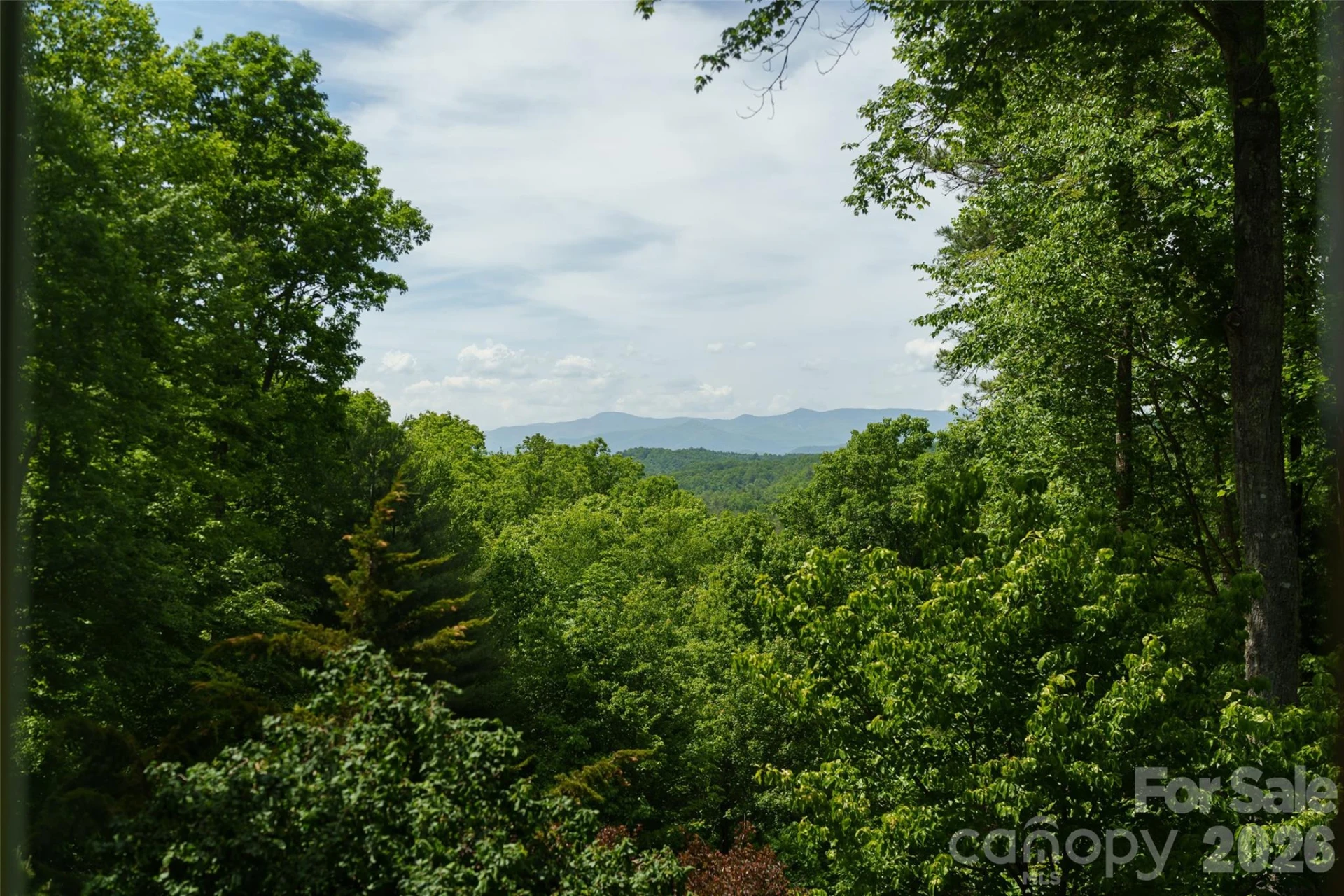 7660 Greenville Highway - Photo 6