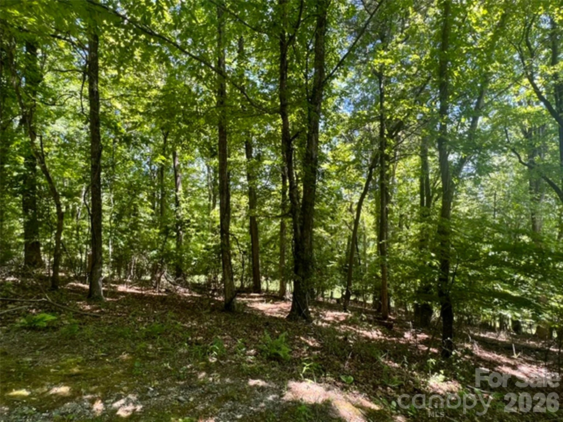 115 Bobby Jones Drive #45 - Photo 11