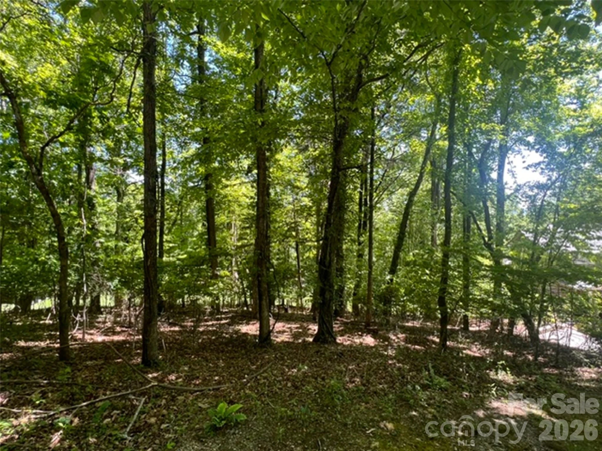 115 Bobby Jones Drive #45 - Photo 12