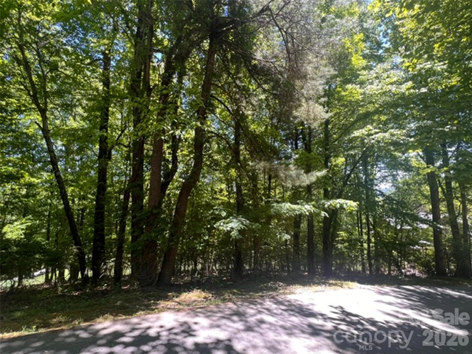 115 Bobby Jones Drive #45 - Photo 13