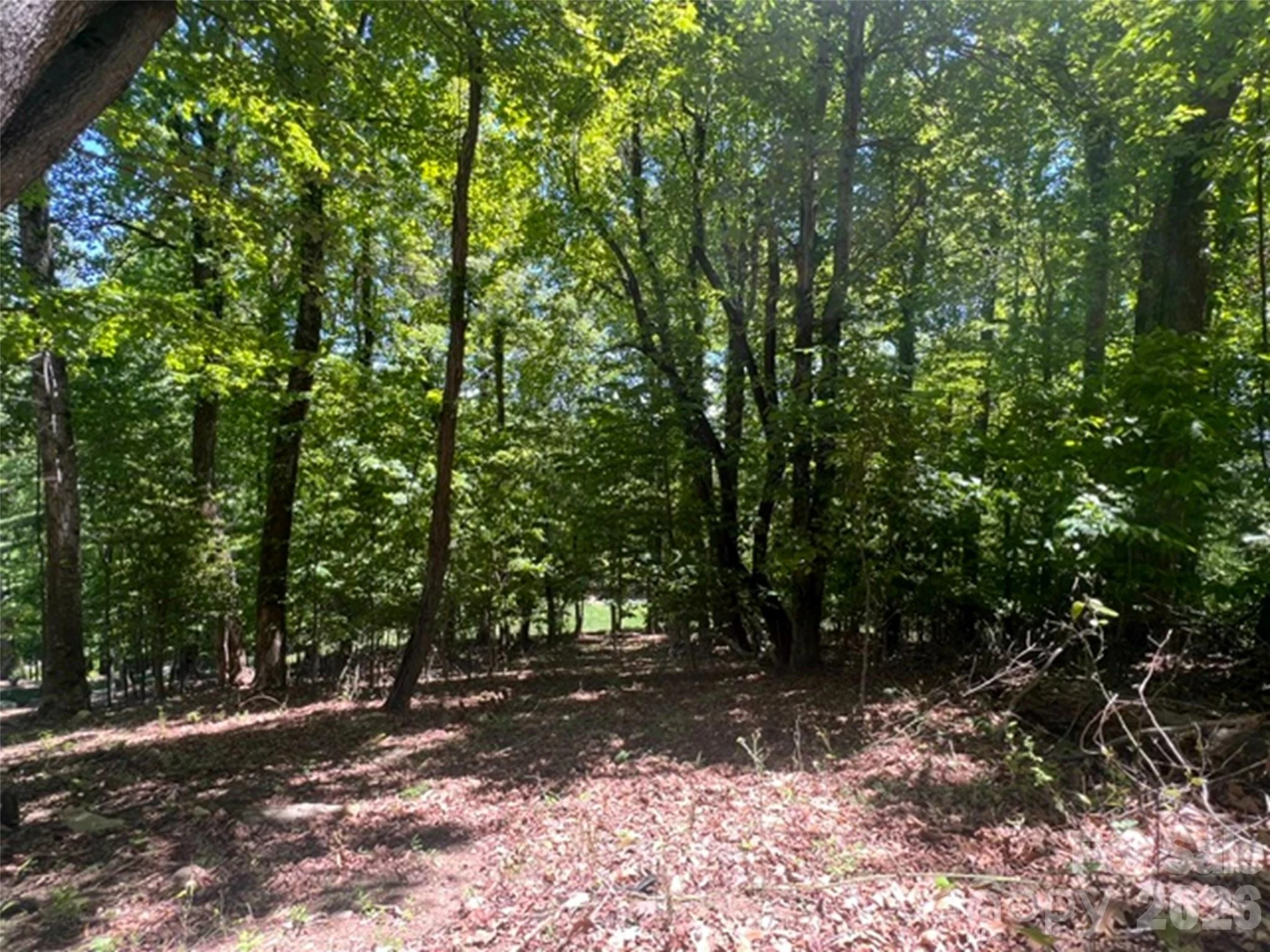 115 Bobby Jones Drive #45 - Photo 14
