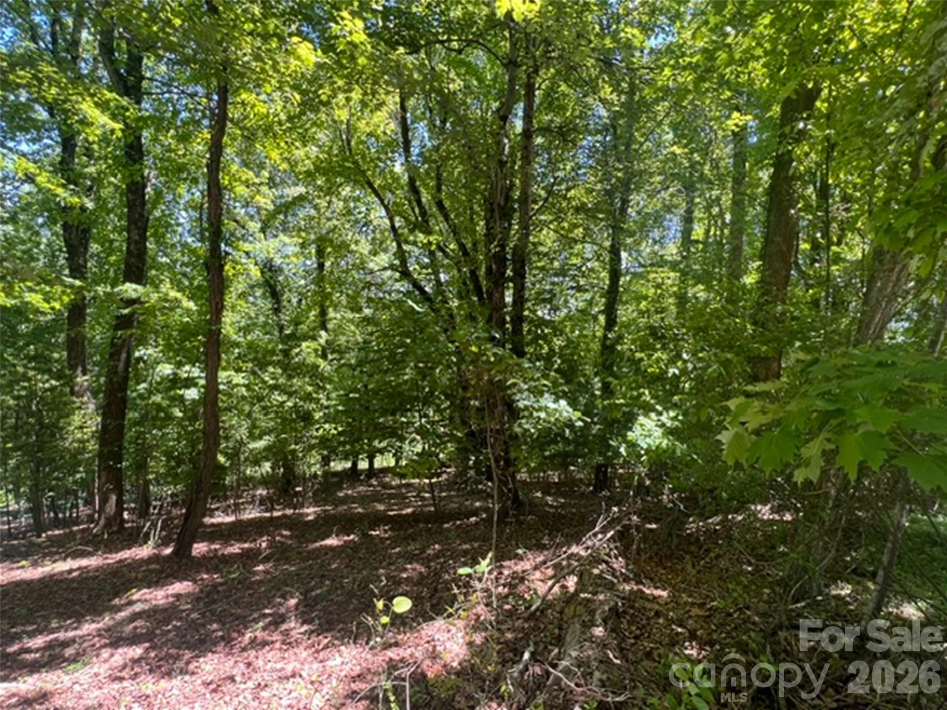 115 Bobby Jones Drive #45 - Photo 15