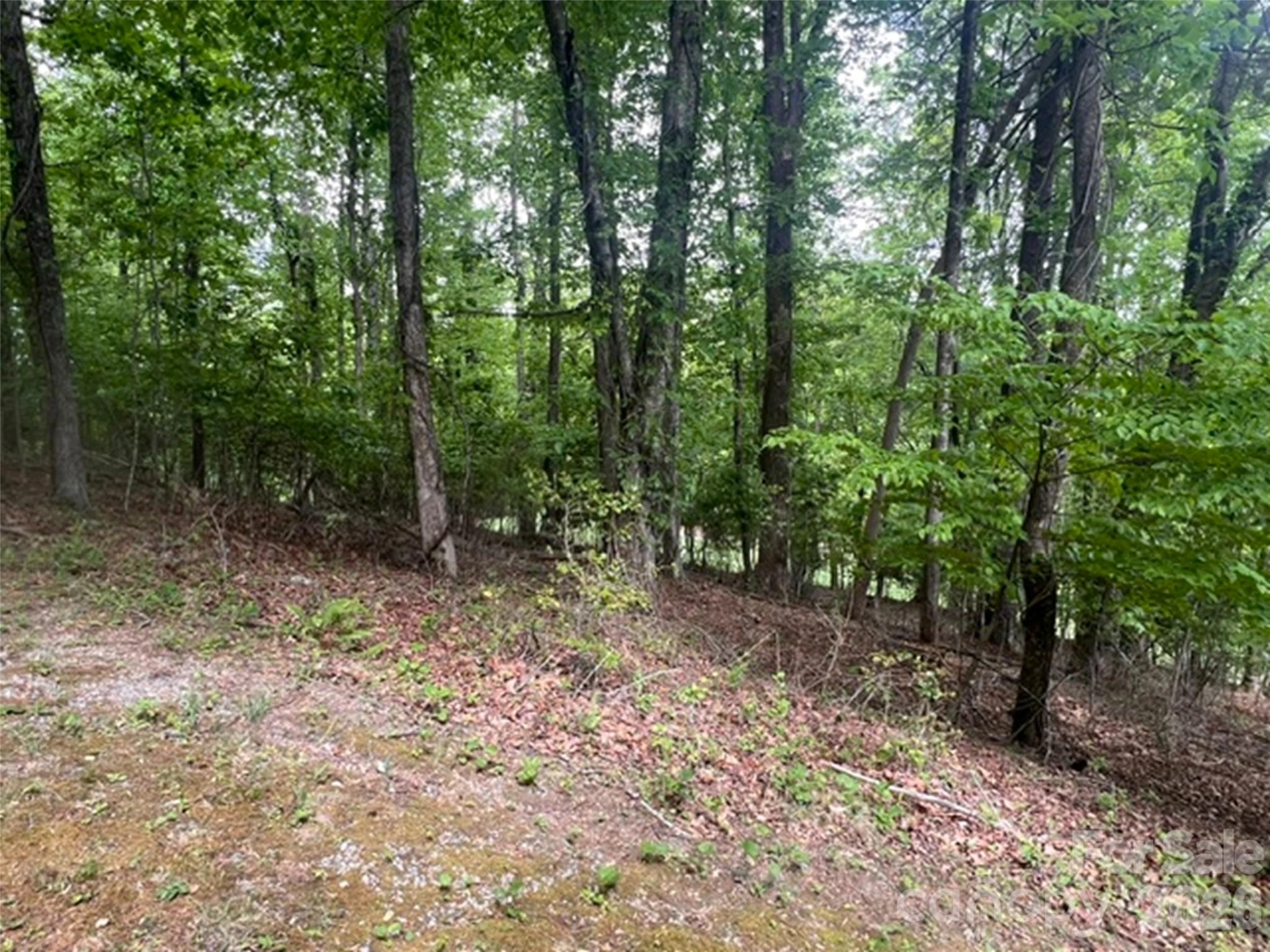 115 Bobby Jones Drive #45 - Photo 4