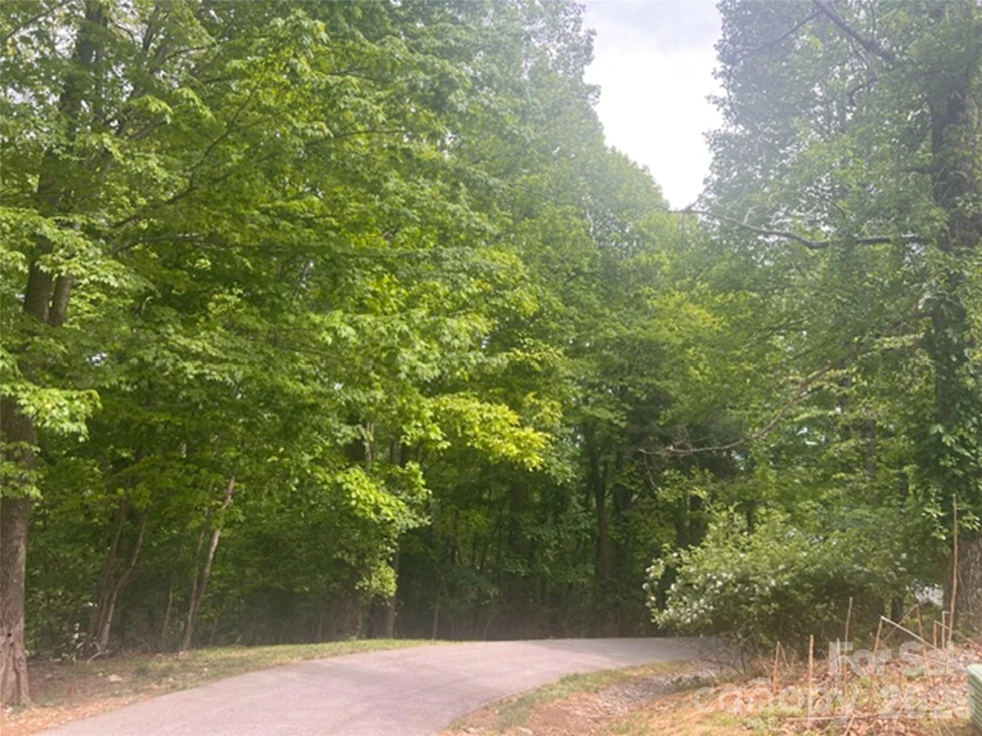 115 Bobby Jones Drive #45 - Photo 5