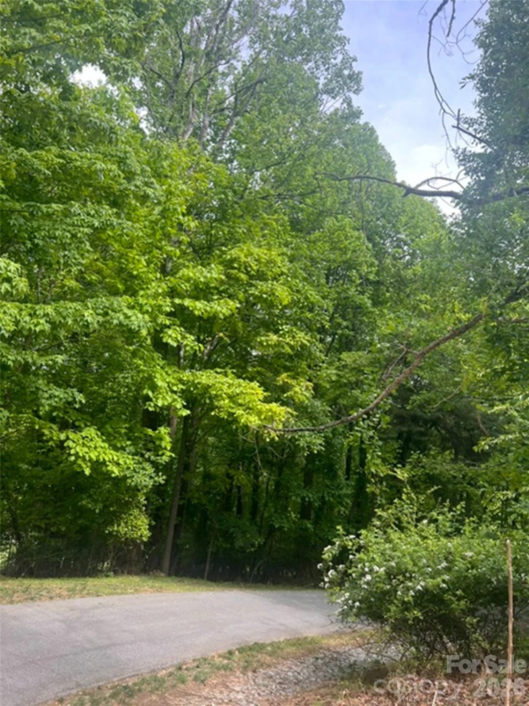 115 Bobby Jones Drive #45 - Photo 6