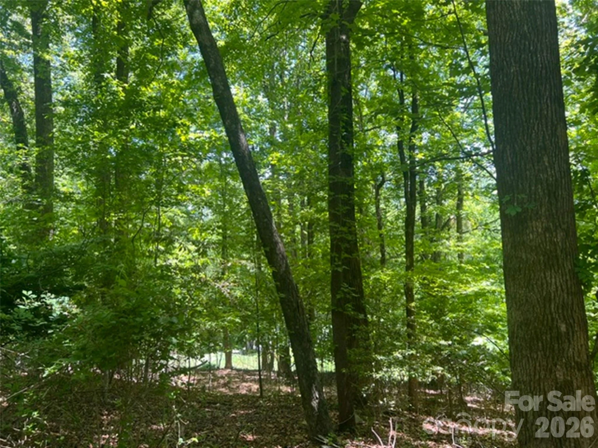 115 Bobby Jones Drive #45 - Photo 7