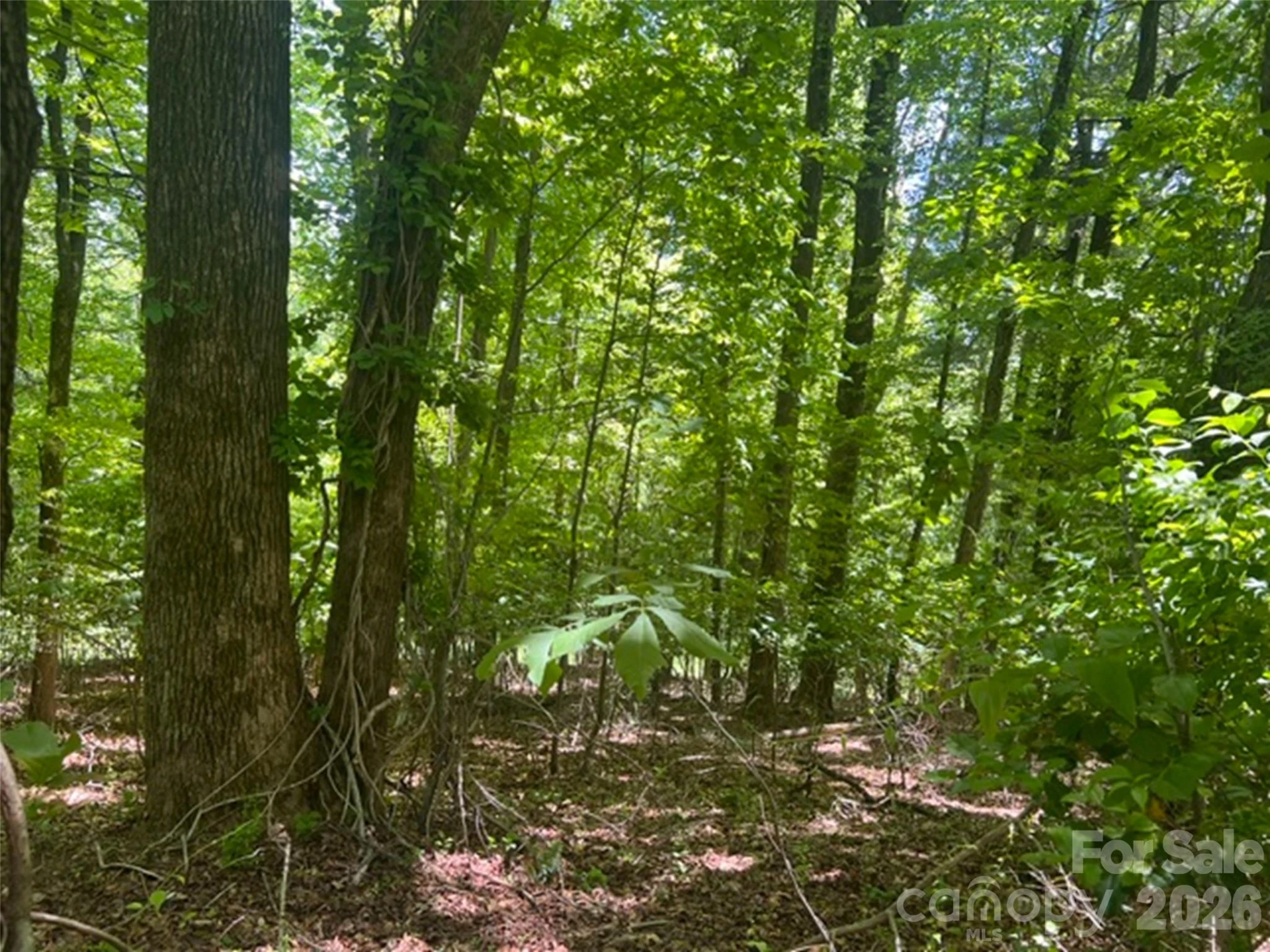 115 Bobby Jones Drive #45 - Photo 8