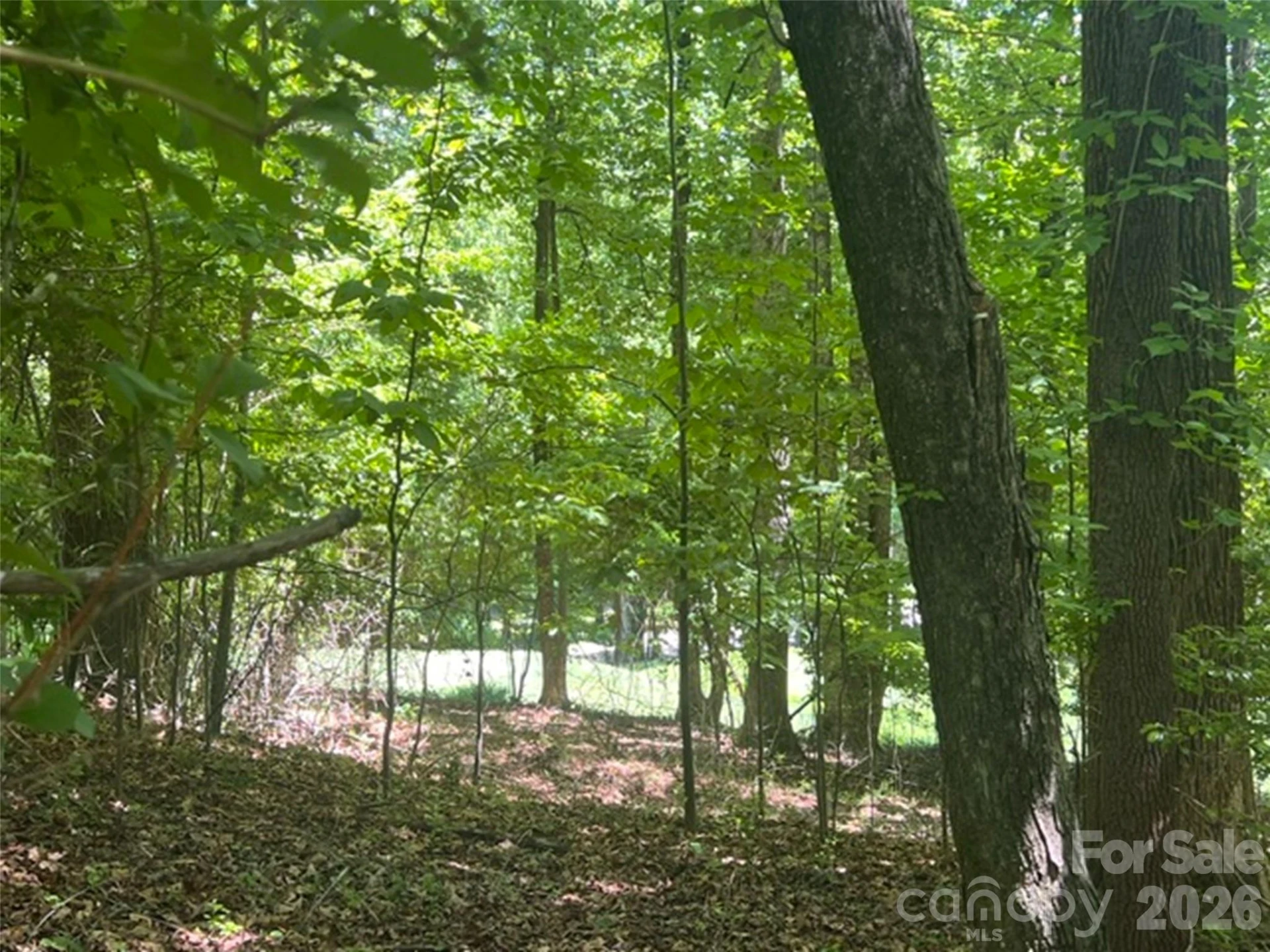115 Bobby Jones Drive #45 - Photo 9