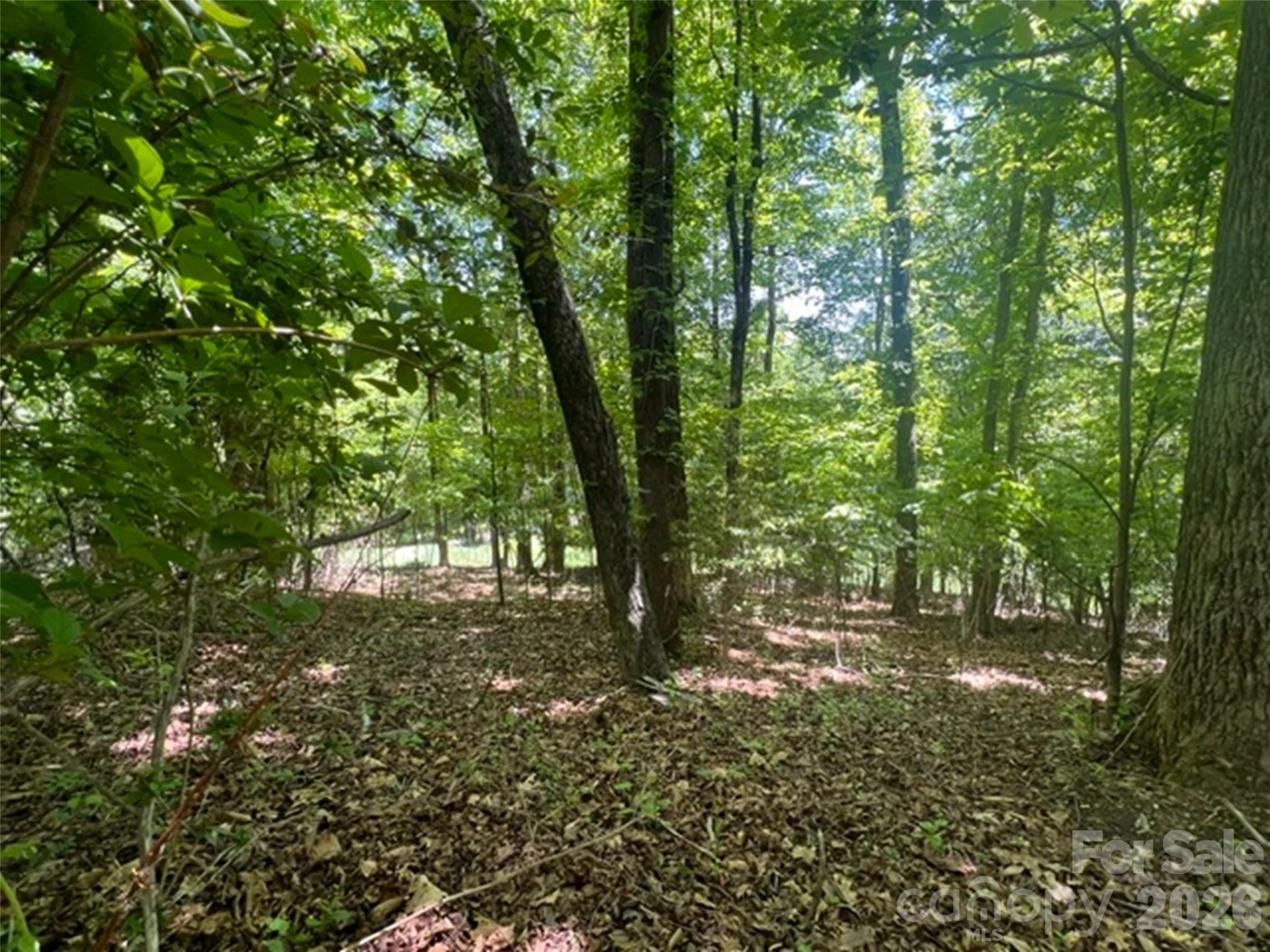 115 Bobby Jones Drive #45 - Photo 10