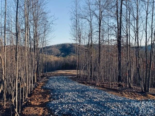 0 Osprey Lane - Photo 12