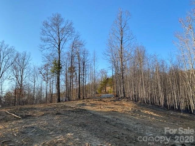 0 Osprey Lane - Photo 6