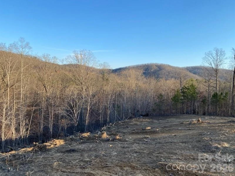 0 Osprey Lane - Photo 7