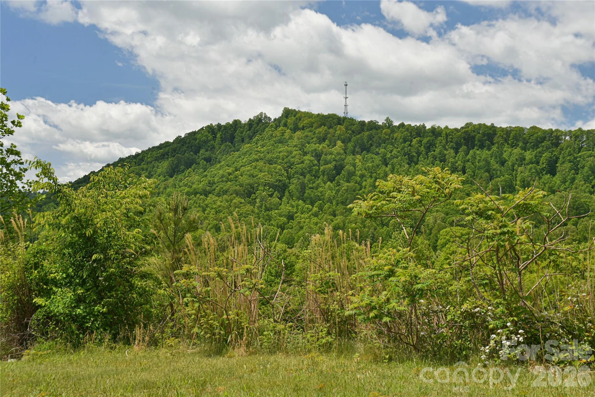 116 Kay Road - Photo 30