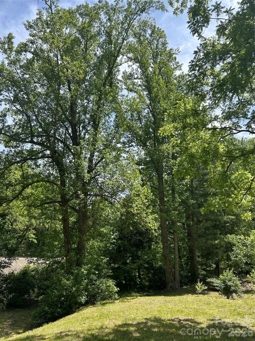 28 Pinecrest Drive #2 - Photo 6